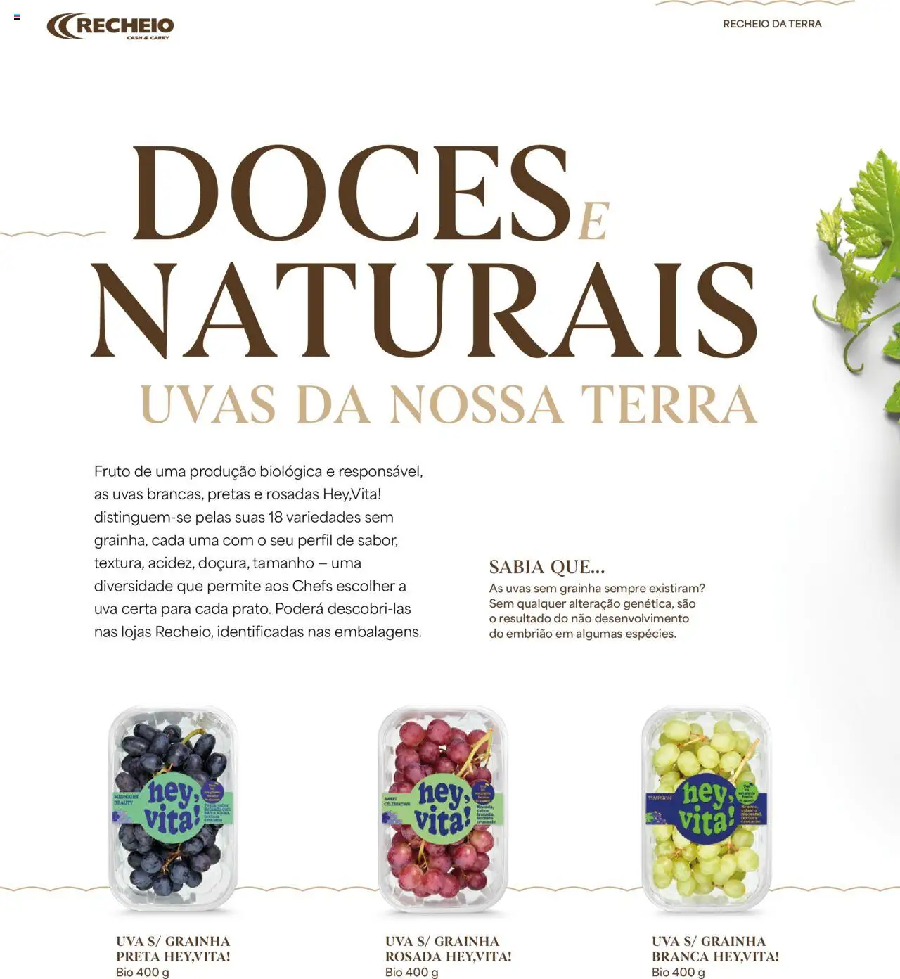 Recheio - Recheio da Terra │ válido de 25/09/2025 | Página: 12 | Produtos: Doces, Uvas sem grainha, Uvas