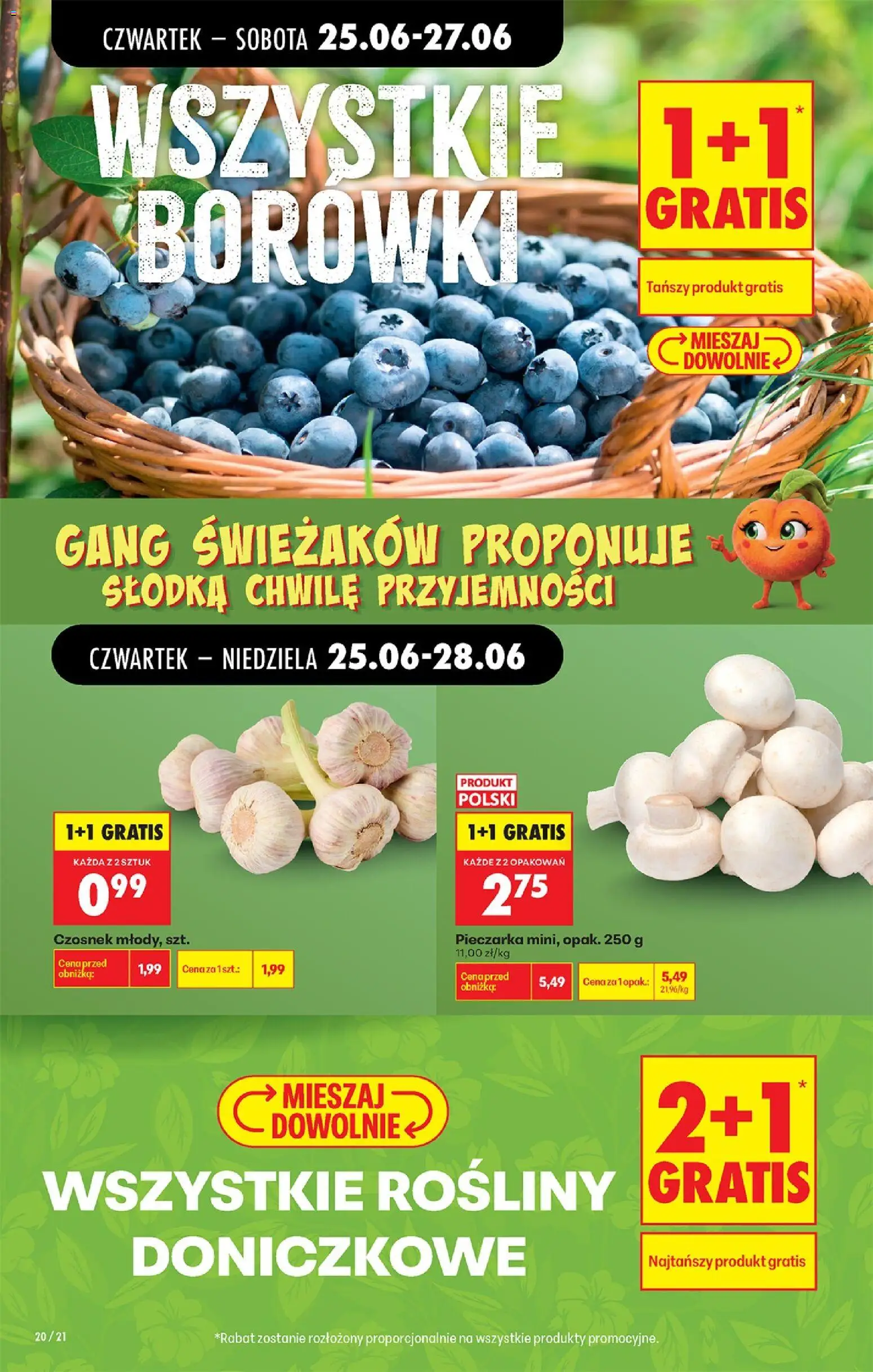 Biedronka gazetka od czwartku od 25.06.2026 | Strona: 22 | Produkty: Czosnek, Rosliny