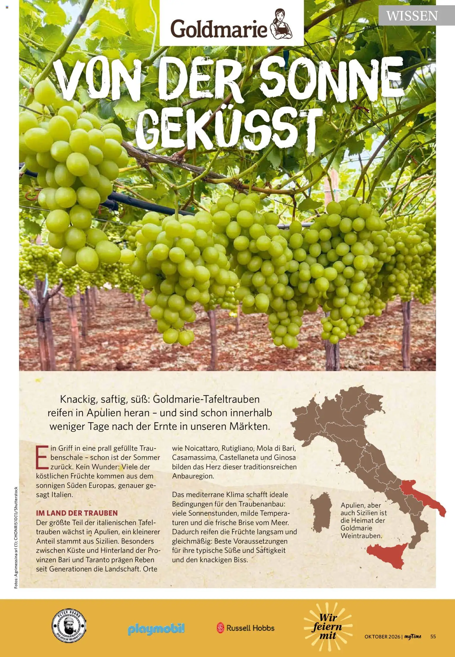 Combi myTime Oktober 2026 – gültig ab 01.10.2026 | Seite: 55 | Produkte: Trauben