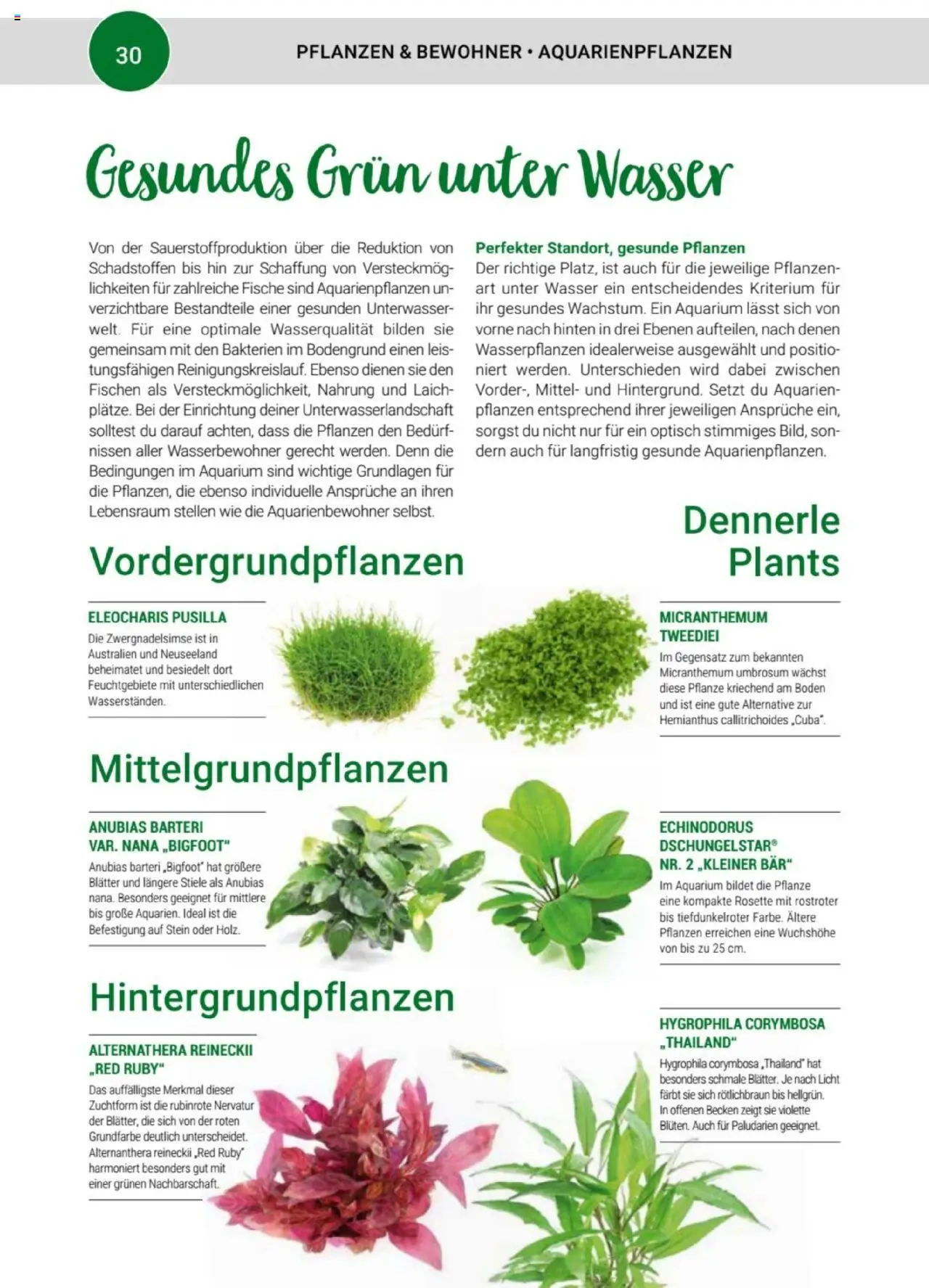 zookauf Themenkatalog Aquaristik – gültig ab 01.10.2025 | Seite: 30 | Produkte: Wasser