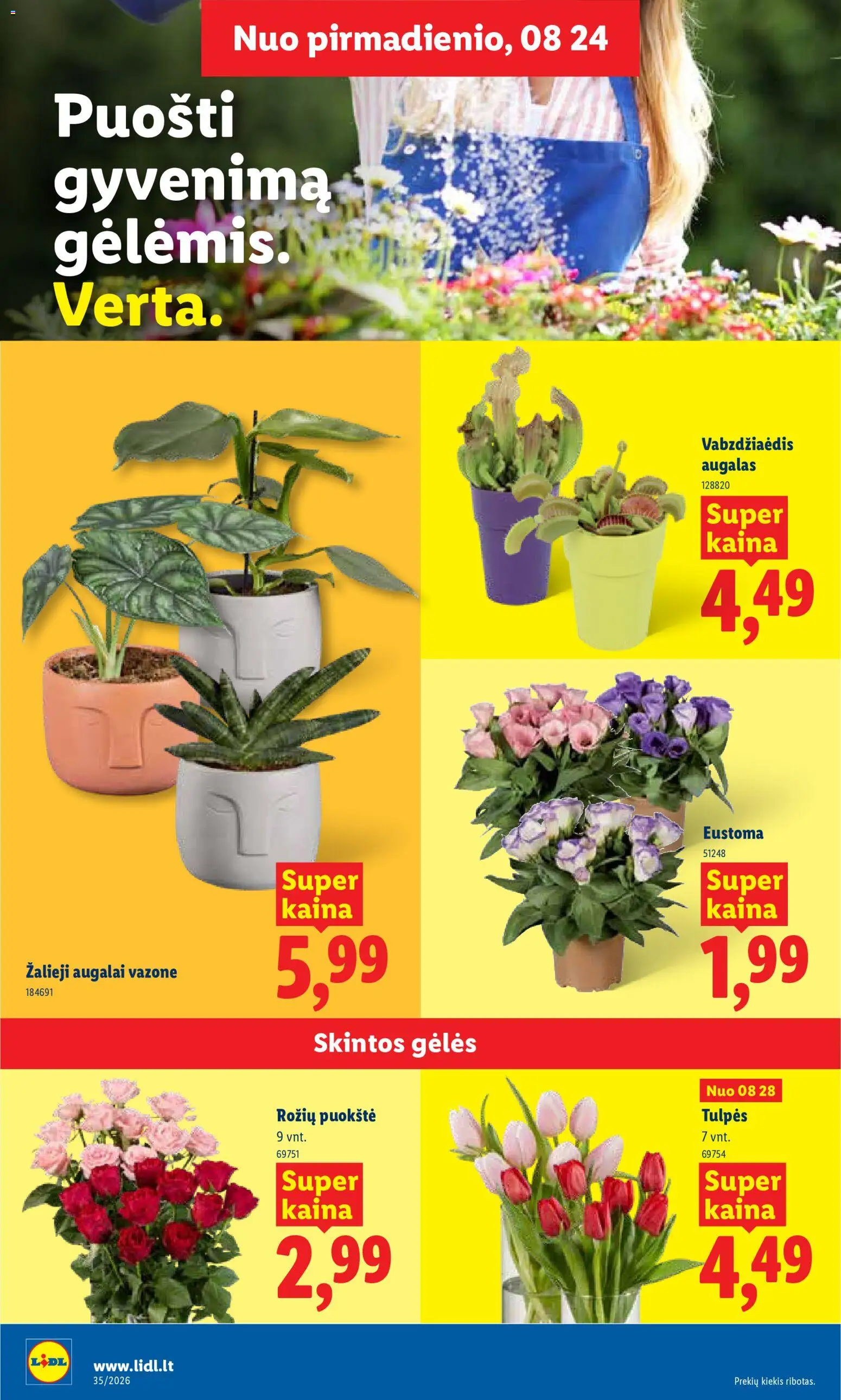 LIDL akcijos nuo 2026.08.24 | Puslapis: 6