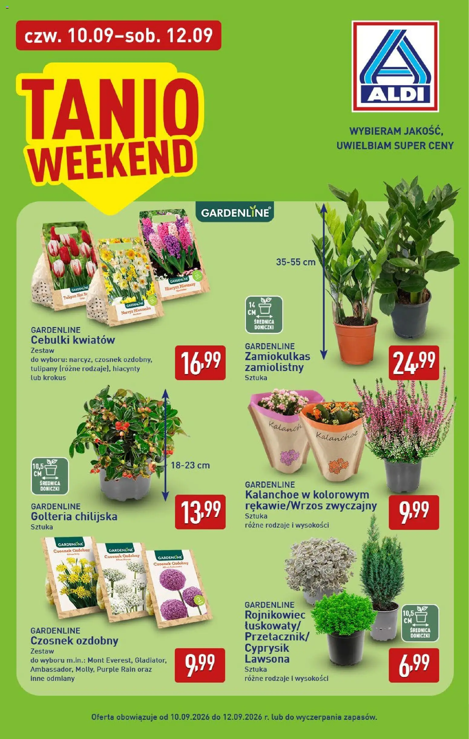 Aldi gazetka od 07.09.2026 | Strona: 34