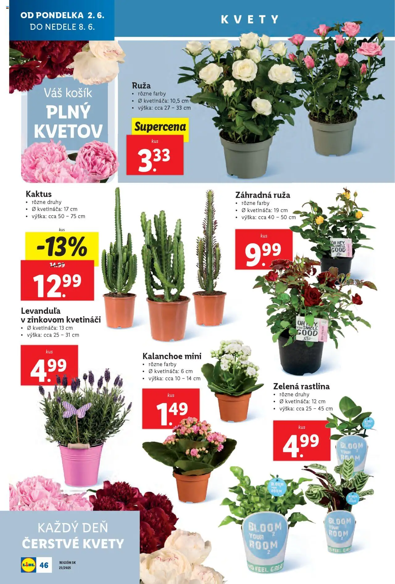 Nové Lidl akcie – leták je platný od 02.06.2025 | Strana: 58 | Produkty: Kvety