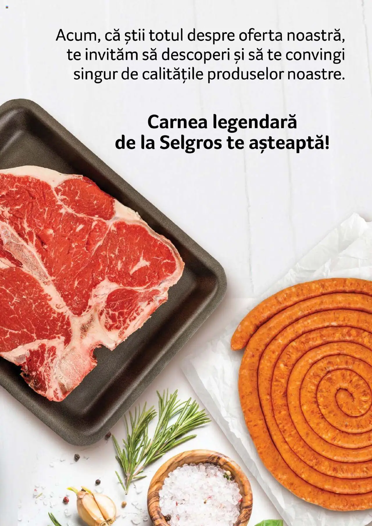 Noul catalog Selgros – valabil de la 27.04.2023 | Pagină: 111
