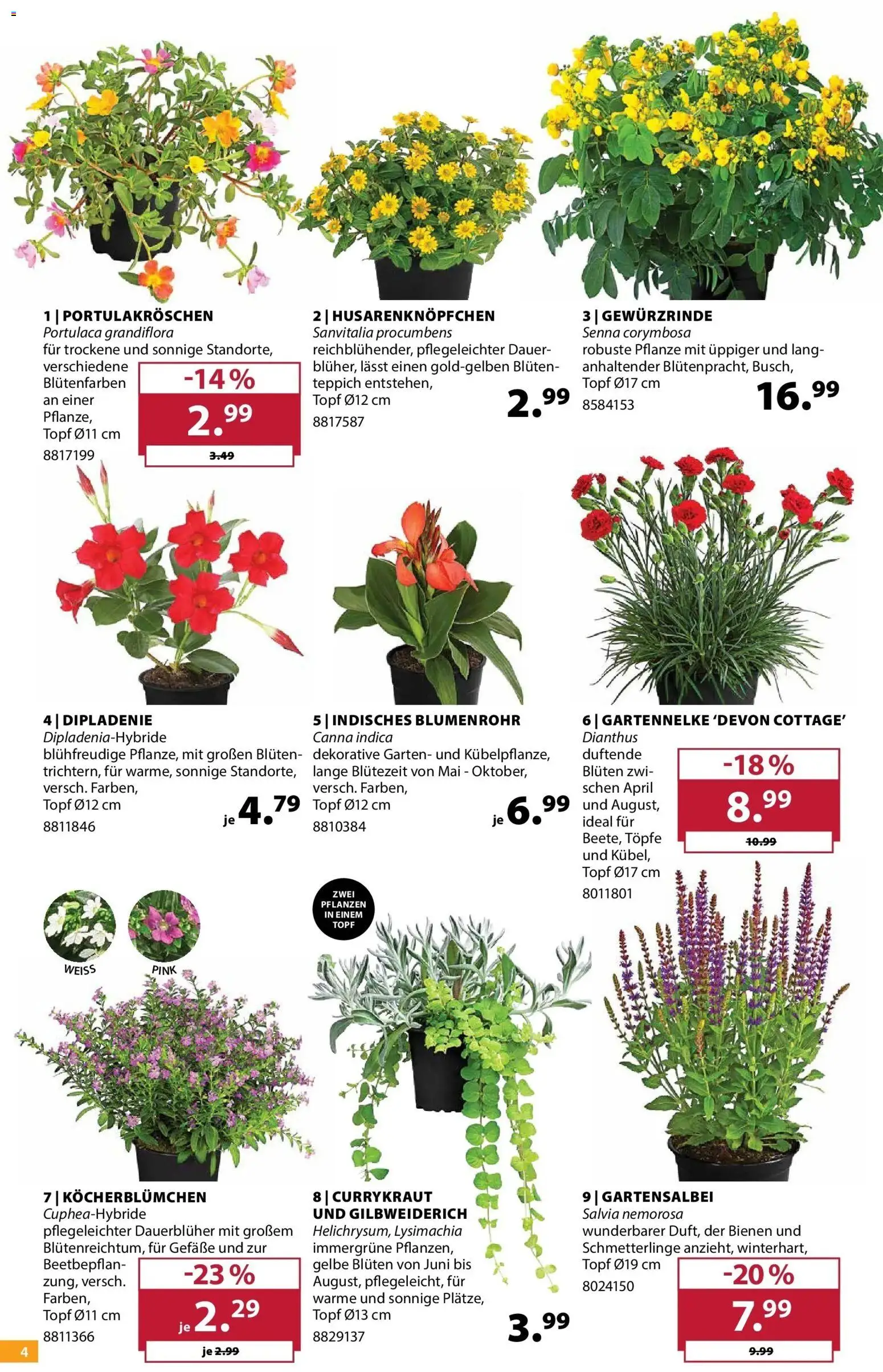 Dehner Garten & Zoo – gültig ab 19.05.2026 | Seite: 4 | Produkte: Teppich