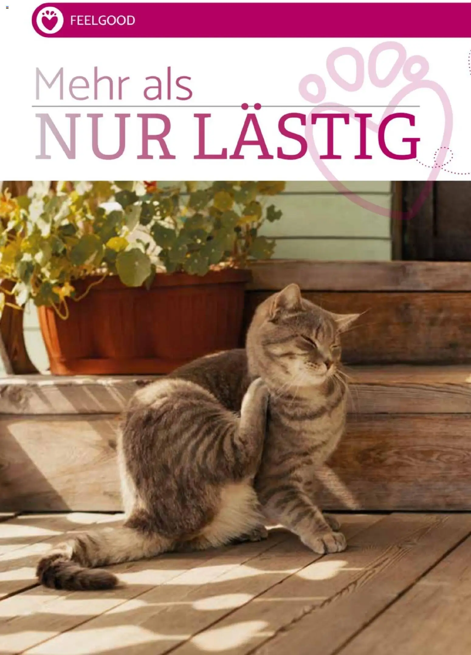 zookauf Heimtier Journal Special – gültig ab 01.08.2026 | Seite: 6