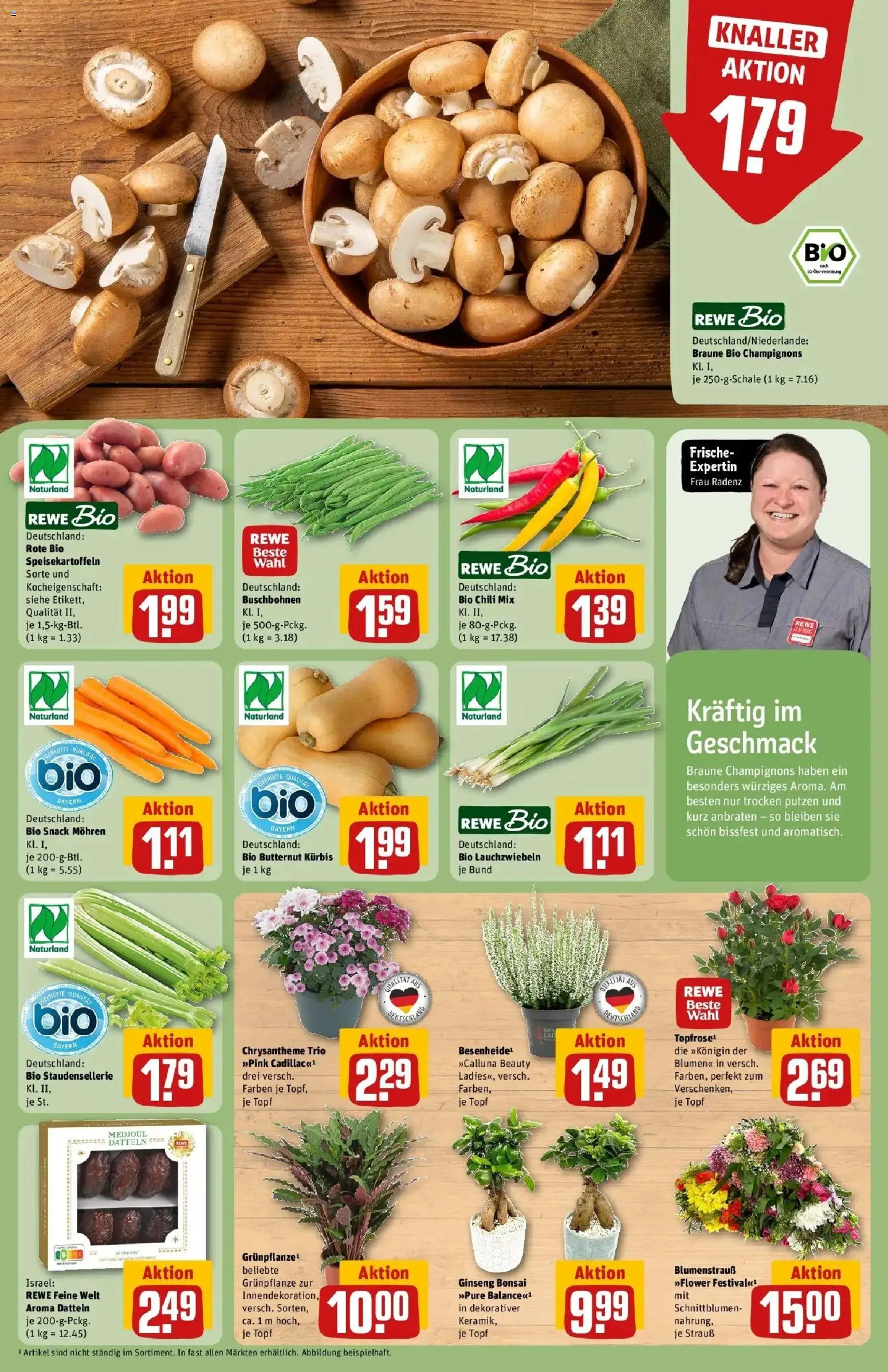 REWE Prospekt ab 31.08.2026 zum Blättern » Angebote | Seite: 7 | Produkte: Mohren, Champignons, Chili, Kürbis