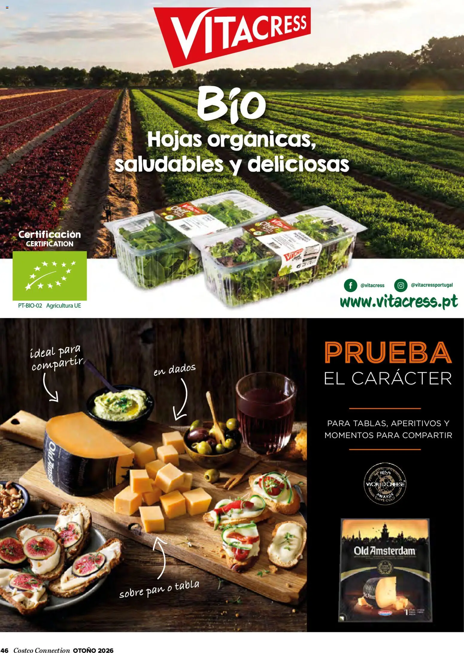 Costco catálogo Otoňo │ válido desde el 14/10/2026 | Página: 46 | Productos: Pan