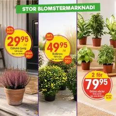 EKO erbjudanden - Förhandsvisning av reklamblad från butik EKO aktuell från 31/08/2026