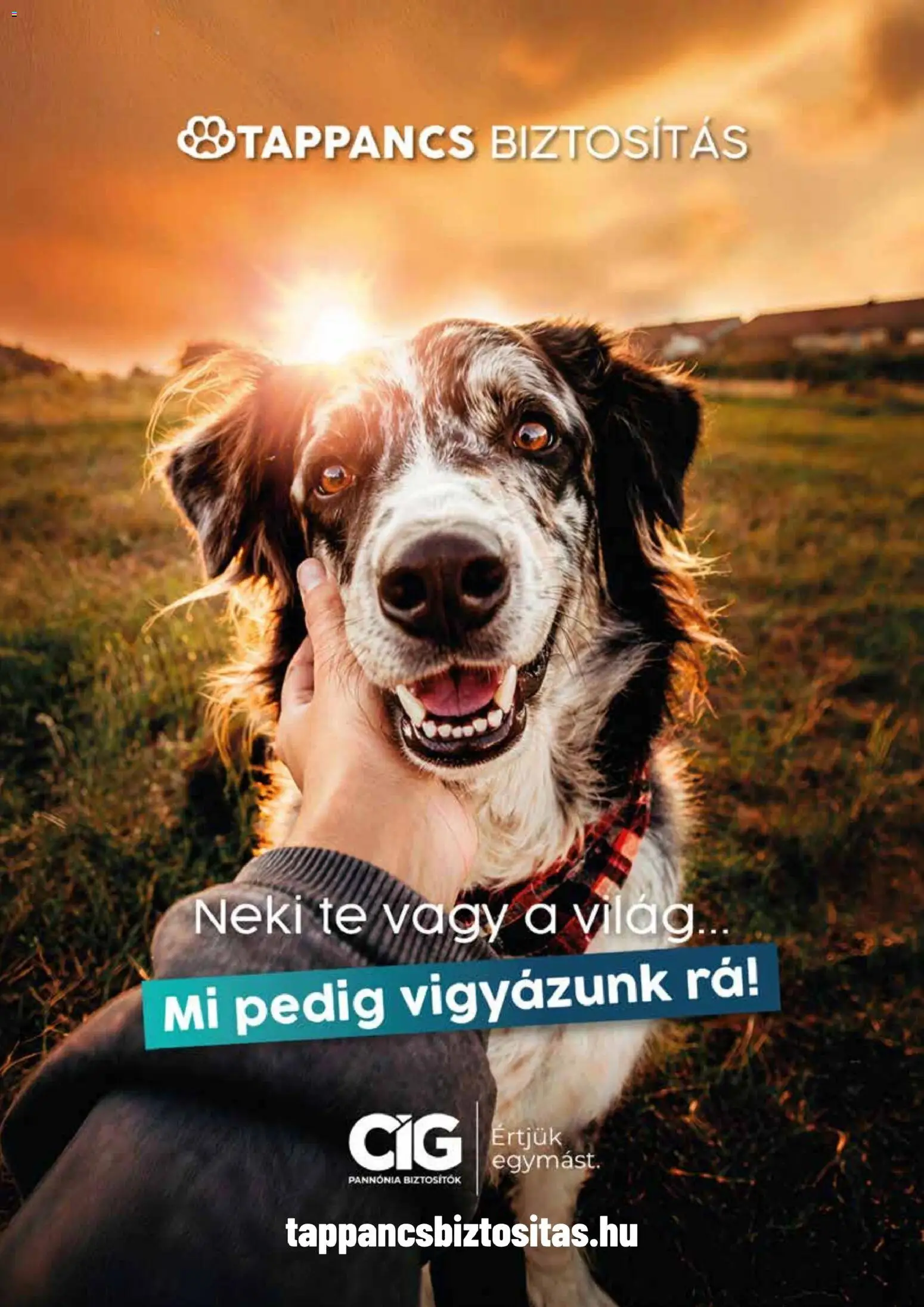 AlphaZoo akciós ujság - amely érvényes a következő dátumtól: 2026.08.21. | Oldal: 14