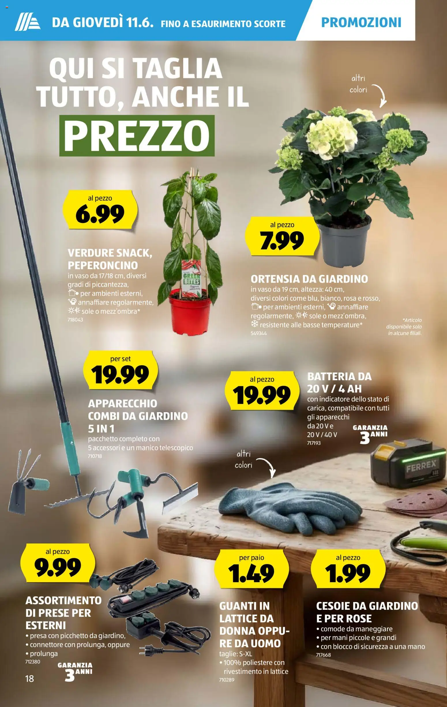 Aldi aktionen IT – gültig ab 11.06.2026 | Seite: 20