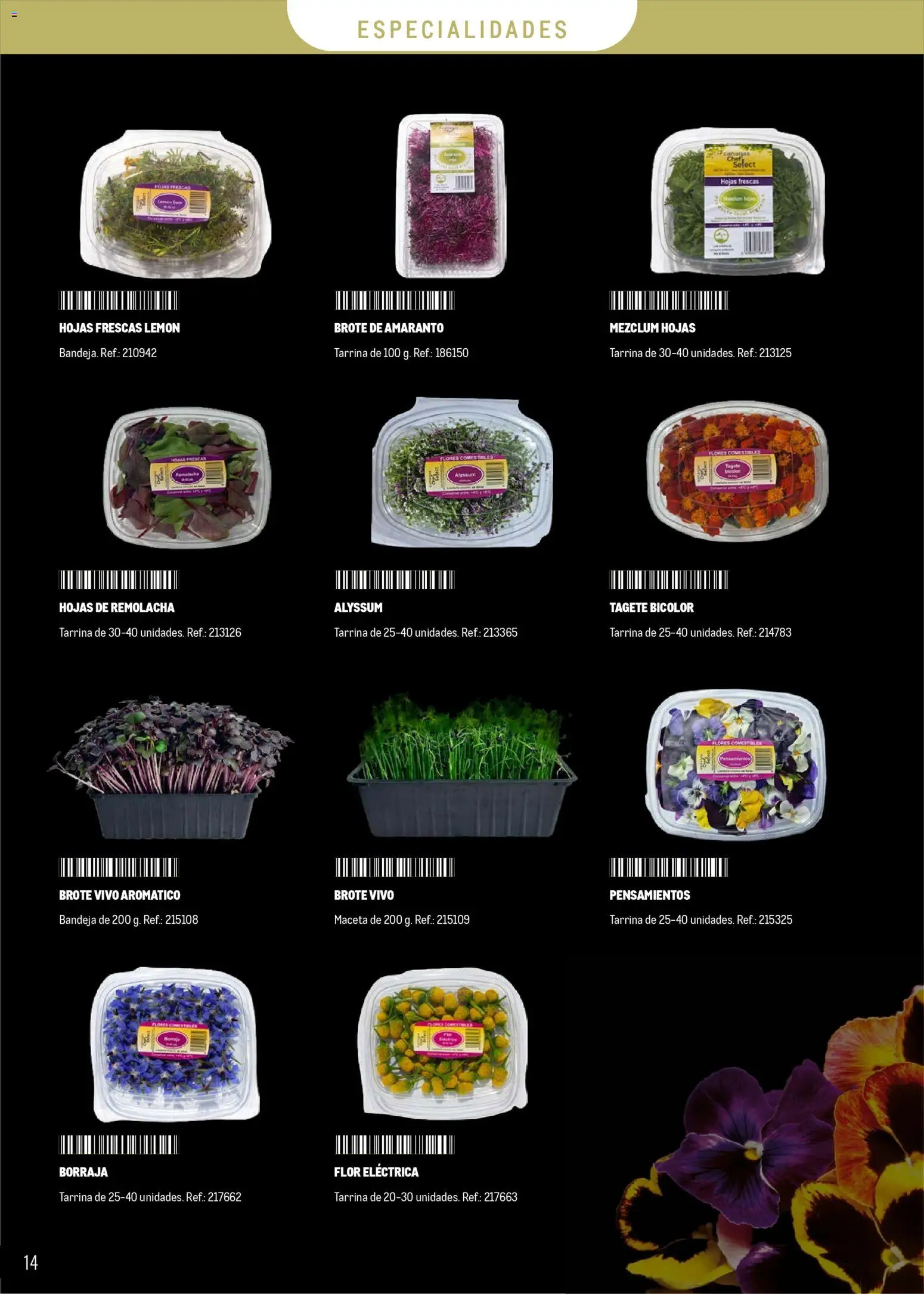 Makro - Especial Frutas y Verduras Canarias │ válido desde el 05.01.2026 | Página: 14 | Productos: Bandeja, Maceta