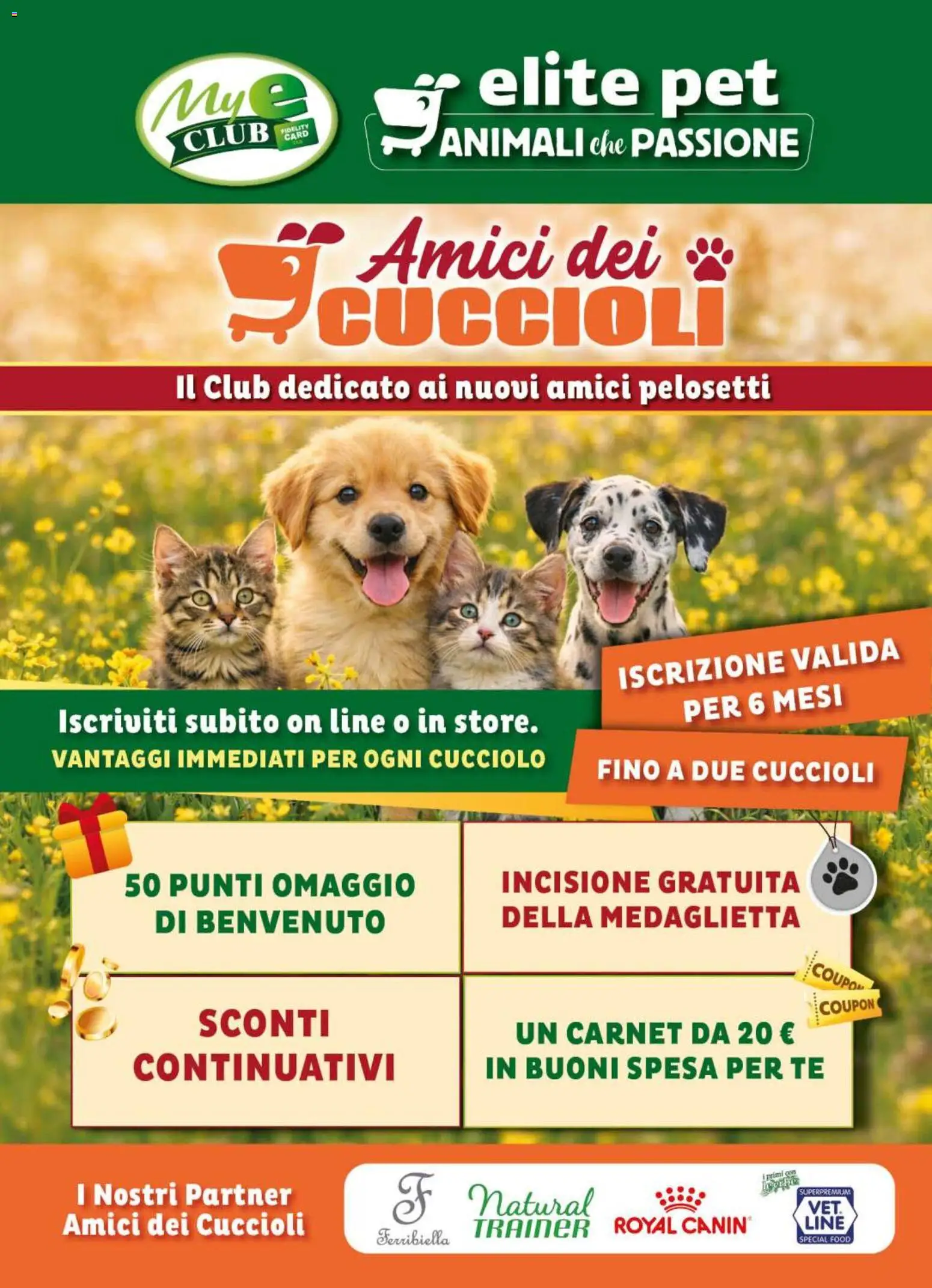 Volantino Elite Supermercati del 29/07/2026 | Pagina: 7 | Prodotti: Tè