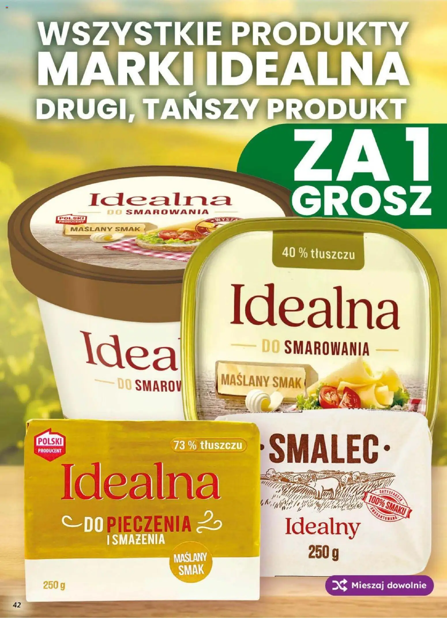 Dino gazetka od 02.09.2026 | Strona: 42