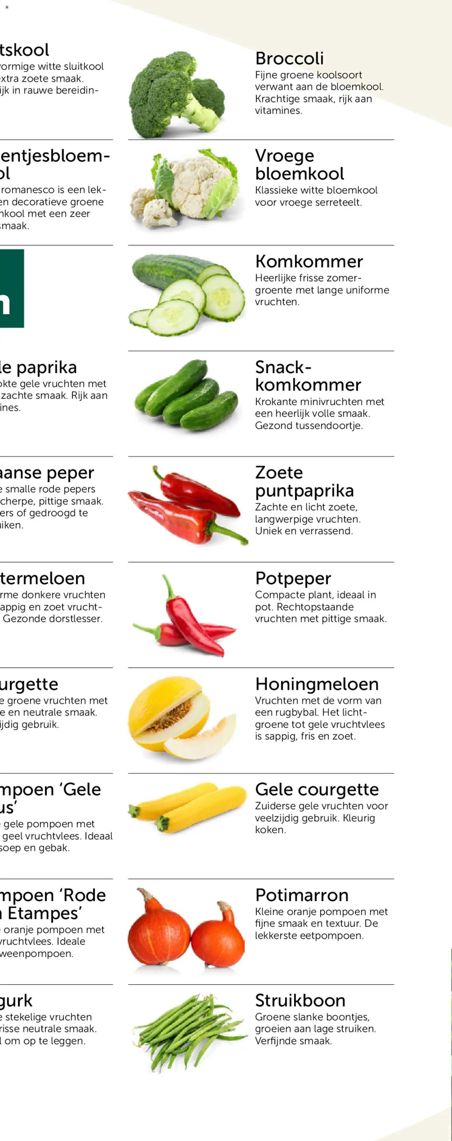 {H1} | Pagina: 55 | Producten: Bloemkool, Kool, Komkommer, Broccoli