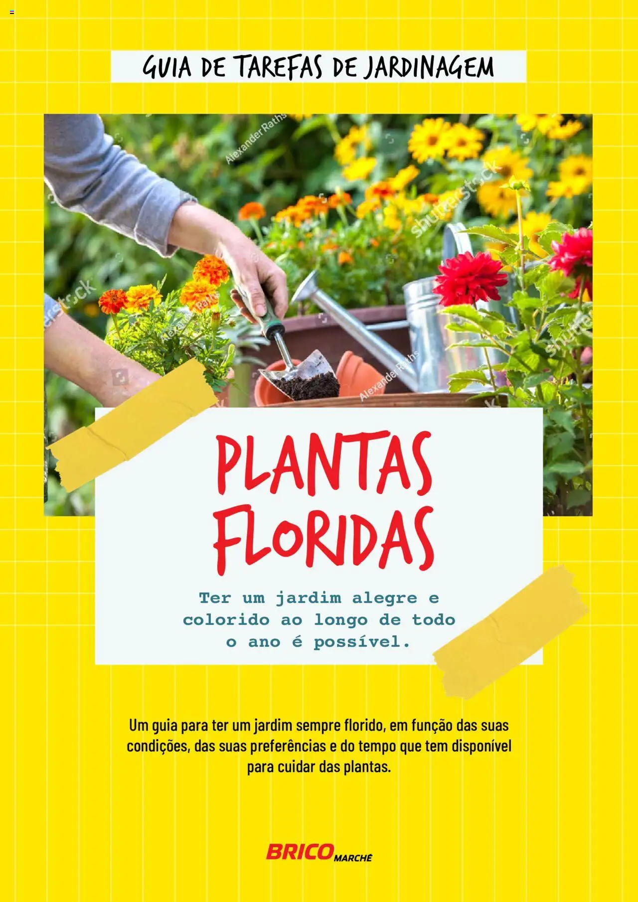 BricoMarché Plantas Floridas » de 17/01/2024 catalogue cover