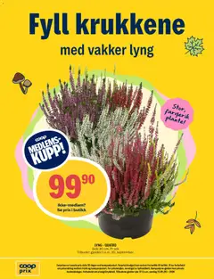 Forhåndsvisning av Coop Prix kundeavis gyldig fra 07/09/2026 | Side: 16