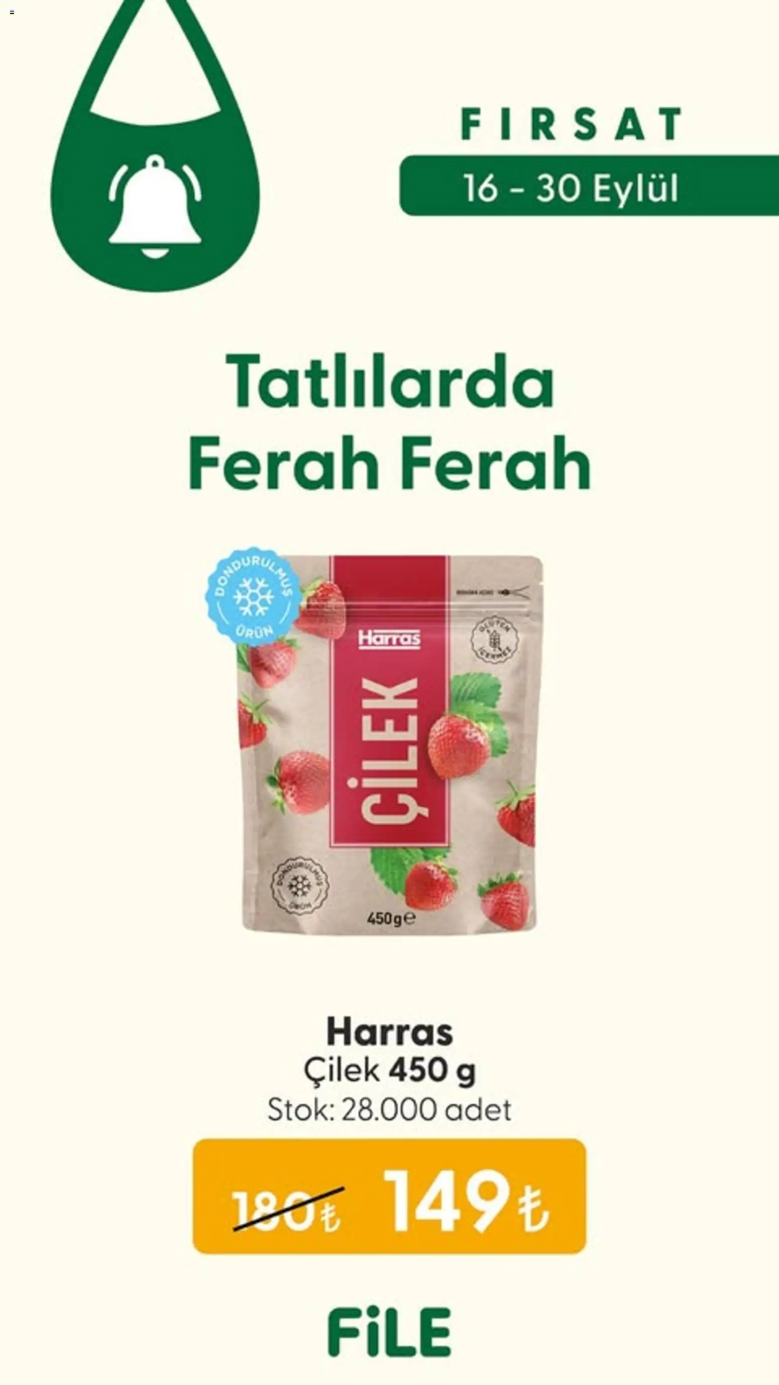File Market Katalog - 16 Eylül 2026 tarihinden itibaren geçerlidir | Sayfa: 2 | Ürünler: Çilek