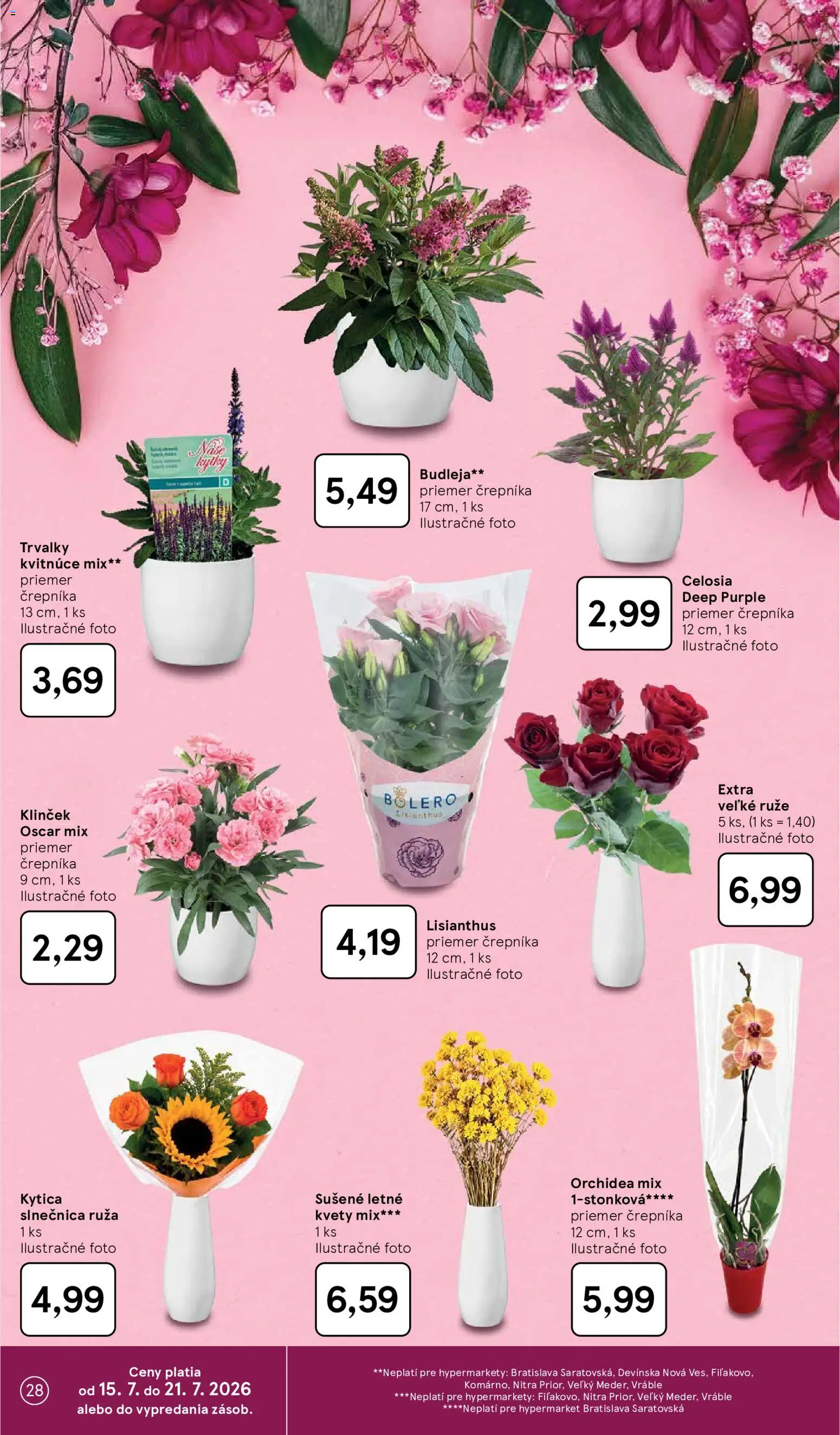 Nové Tesco akcie – leták je platný od 15.07.2026 | Strana: 28 | Produkty: Kvety, Ruže, Orchidea