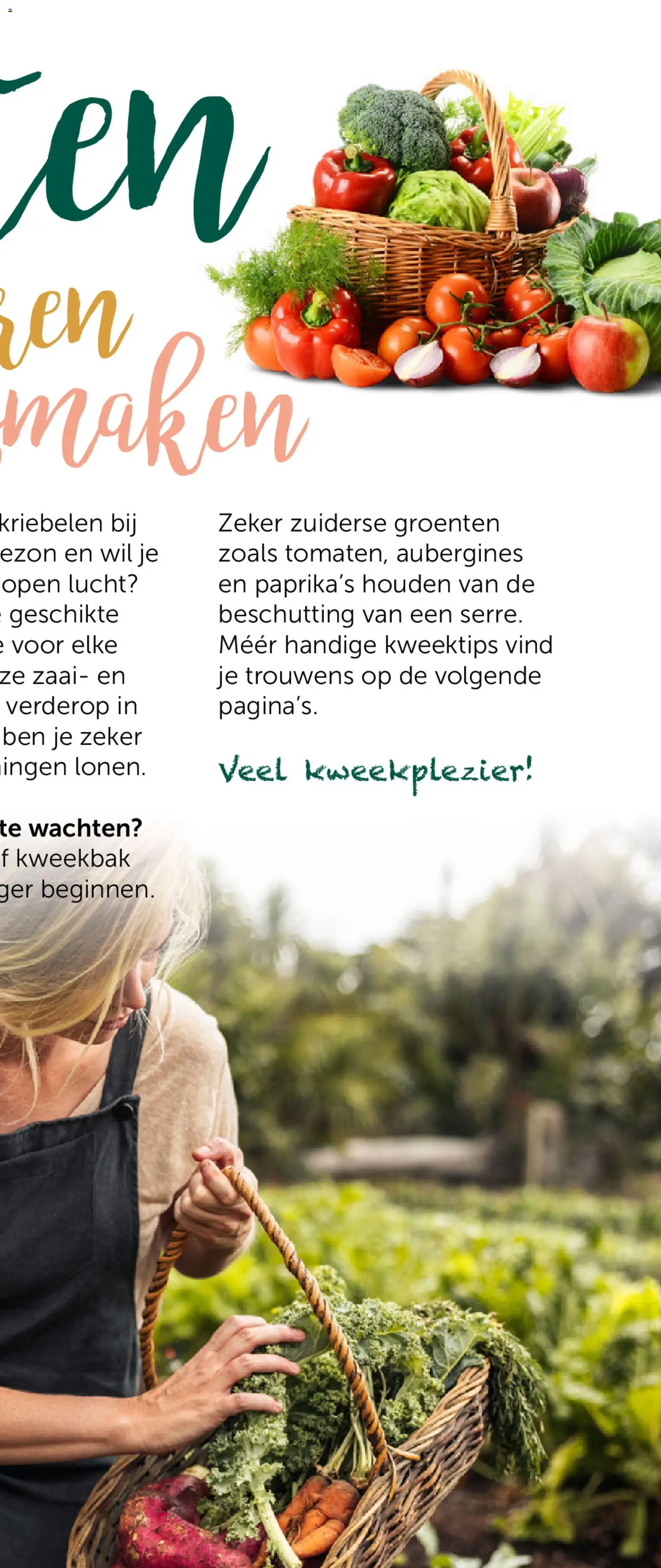 {H1} | Pagina: 7 | Producten: Groenten
