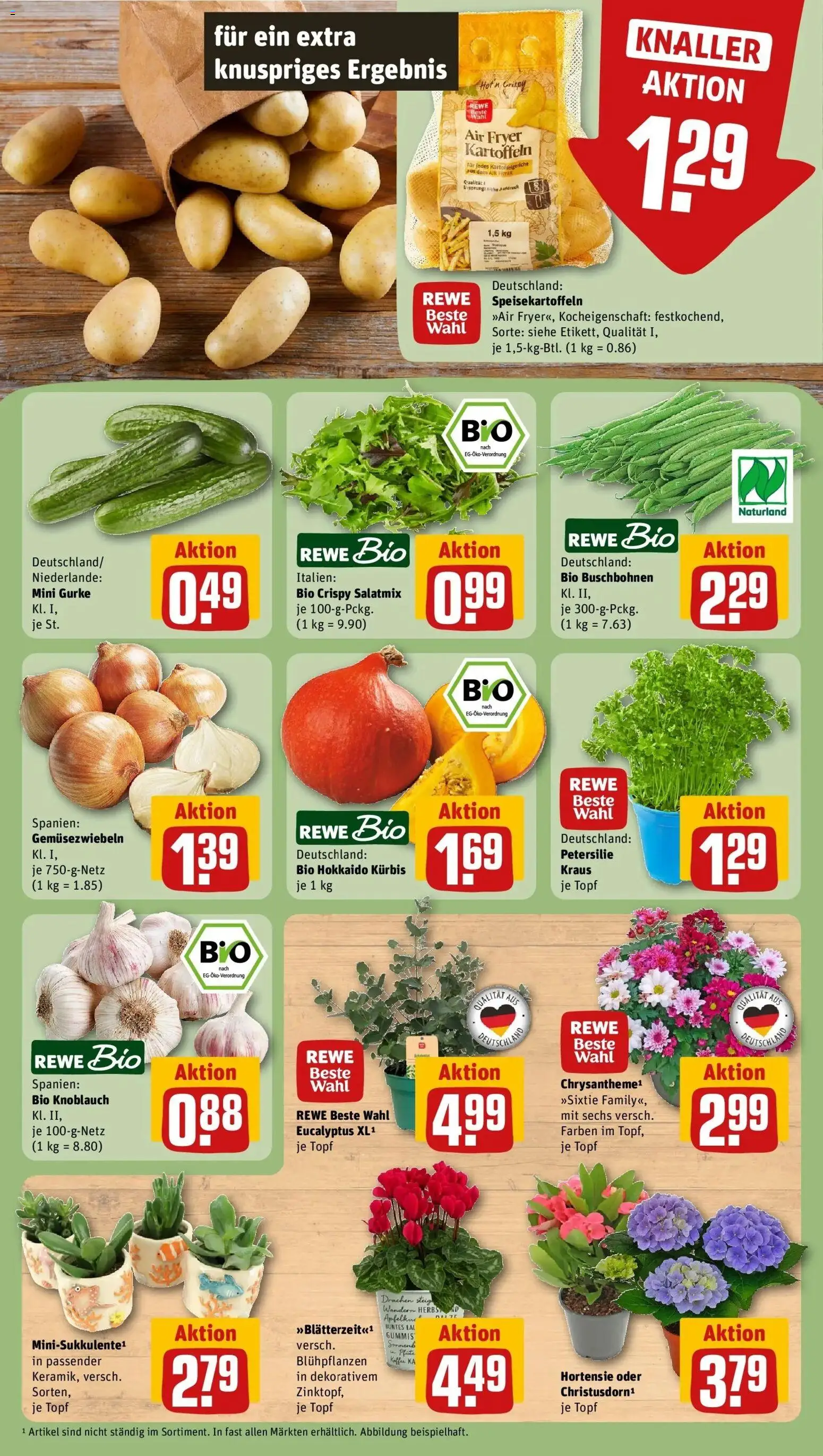 REWE Prospekt ab 24.08.2026 zum Blättern » Angebote | Seite: 7 | Produkte: Kaffee, Knoblauch, Kürbis, Petersilie