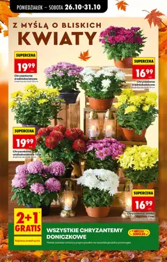 Pogląd oferty "Biedronka gazetka od poniedziałku" - ważna od 26.10.2026 | Strona: 20 | Produkty: Chryzantemy, Doniczki, Kwiaty