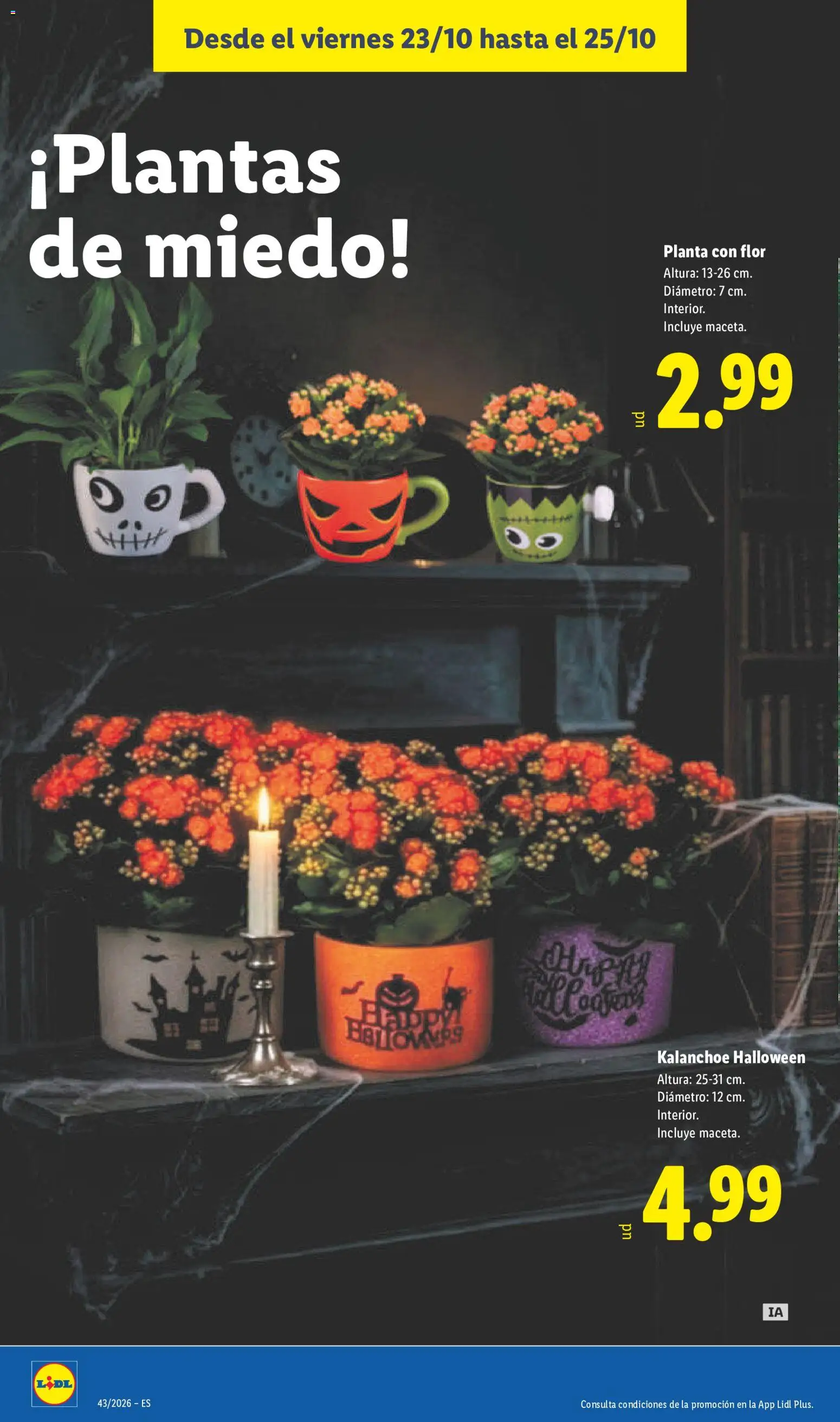 Lidl folleto │ válido desde el 19/10/2026 | Página: 54