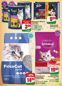 Pogląd oferty "Dino gazetka" - ważna od 13.05.2026 | Strona: 67