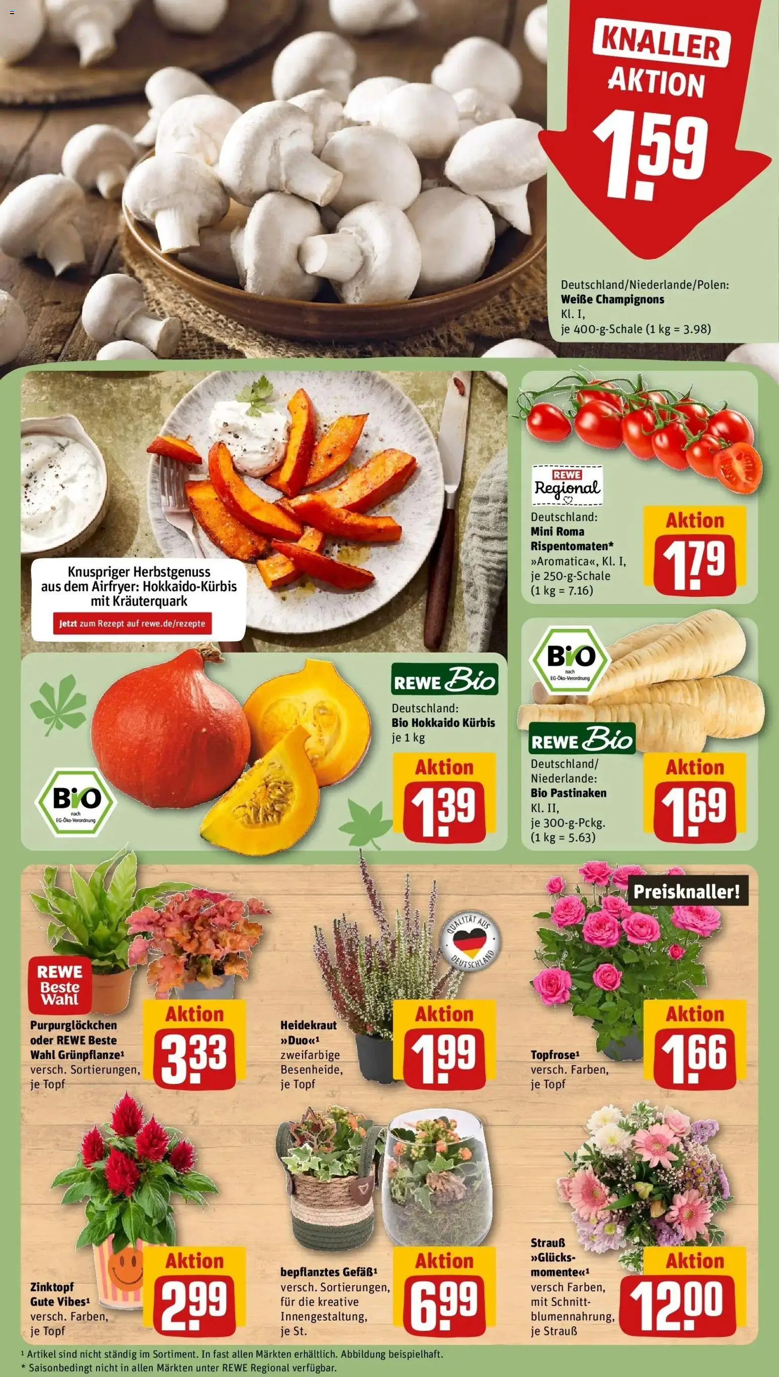 REWE Prospekt ab 28.09.2026 zum Blättern » Angebote | Seite: 13 | Produkte: Champignons, Kürbis