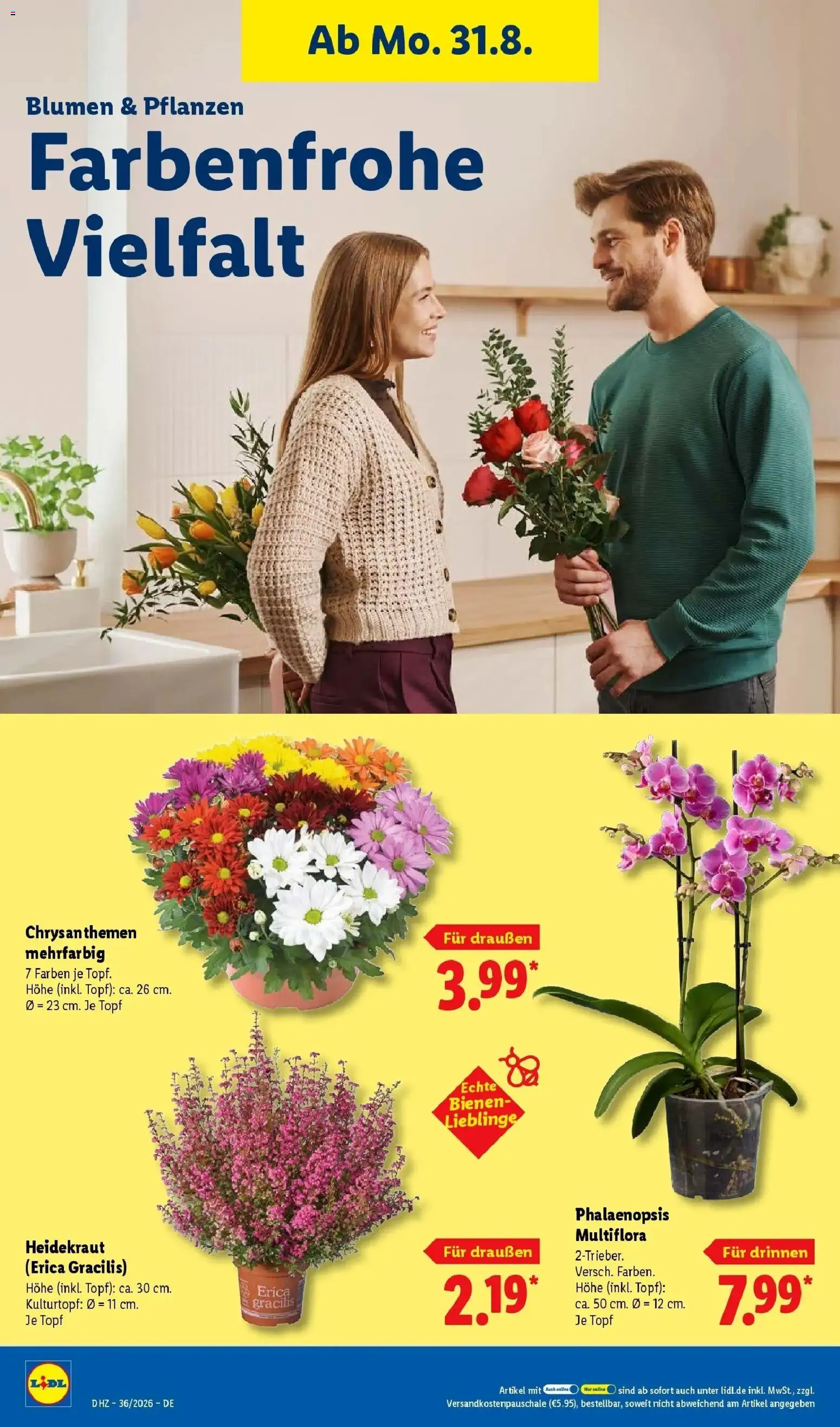 Lidl Prospekt Senftenberg (ab 31.08.2026) zum Blättern » Angebote | Seite: 26 | Produkte: Blumen