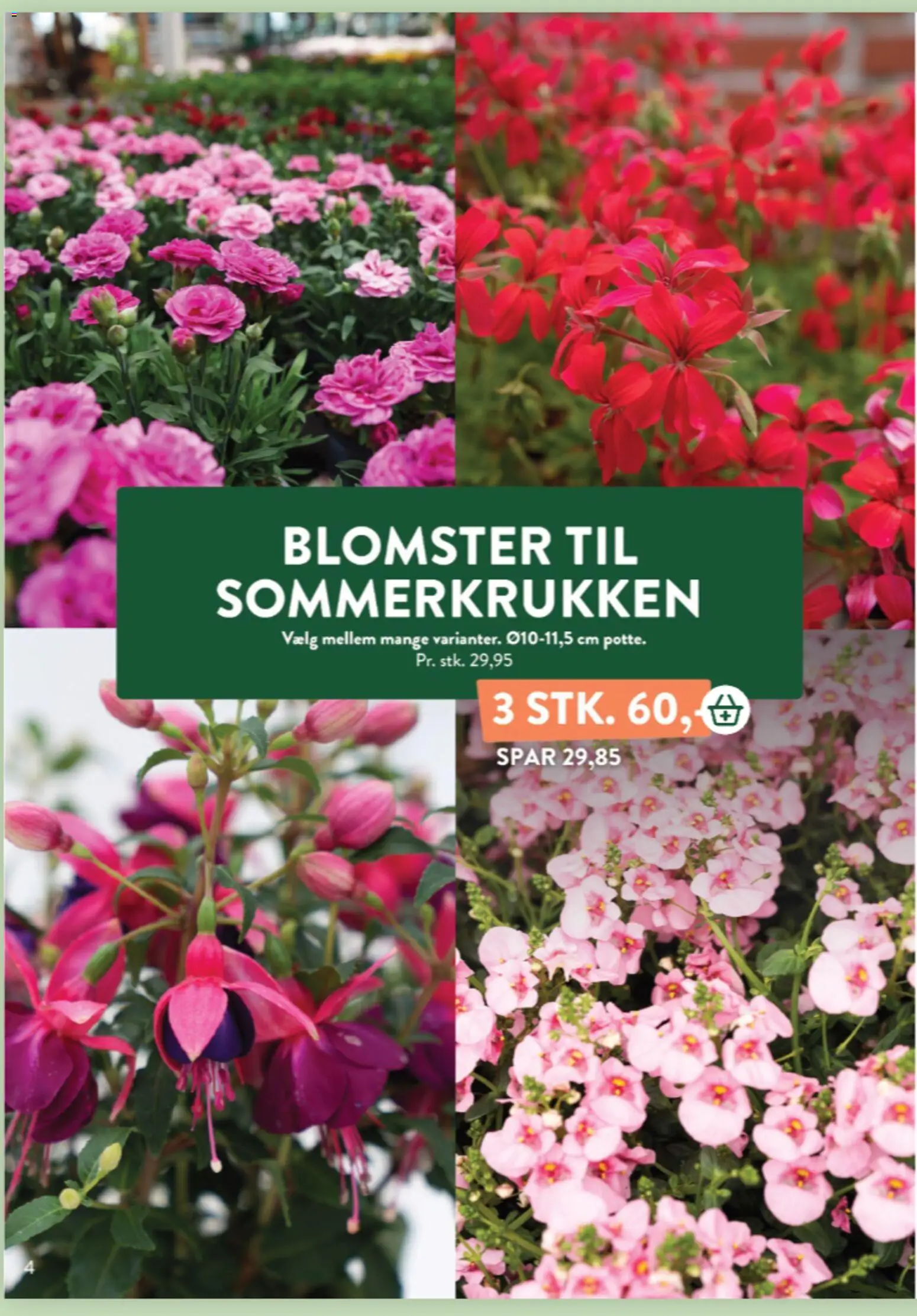 Plantorama tilbudsavis – gyldig fra 22.05.2026 | Side: 4