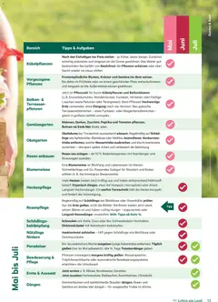 Lagerhaus Fürs Leben am Land ab 01.05.2026 gültig | Seite: 13 | Produkte: Gemüse, Tomaten