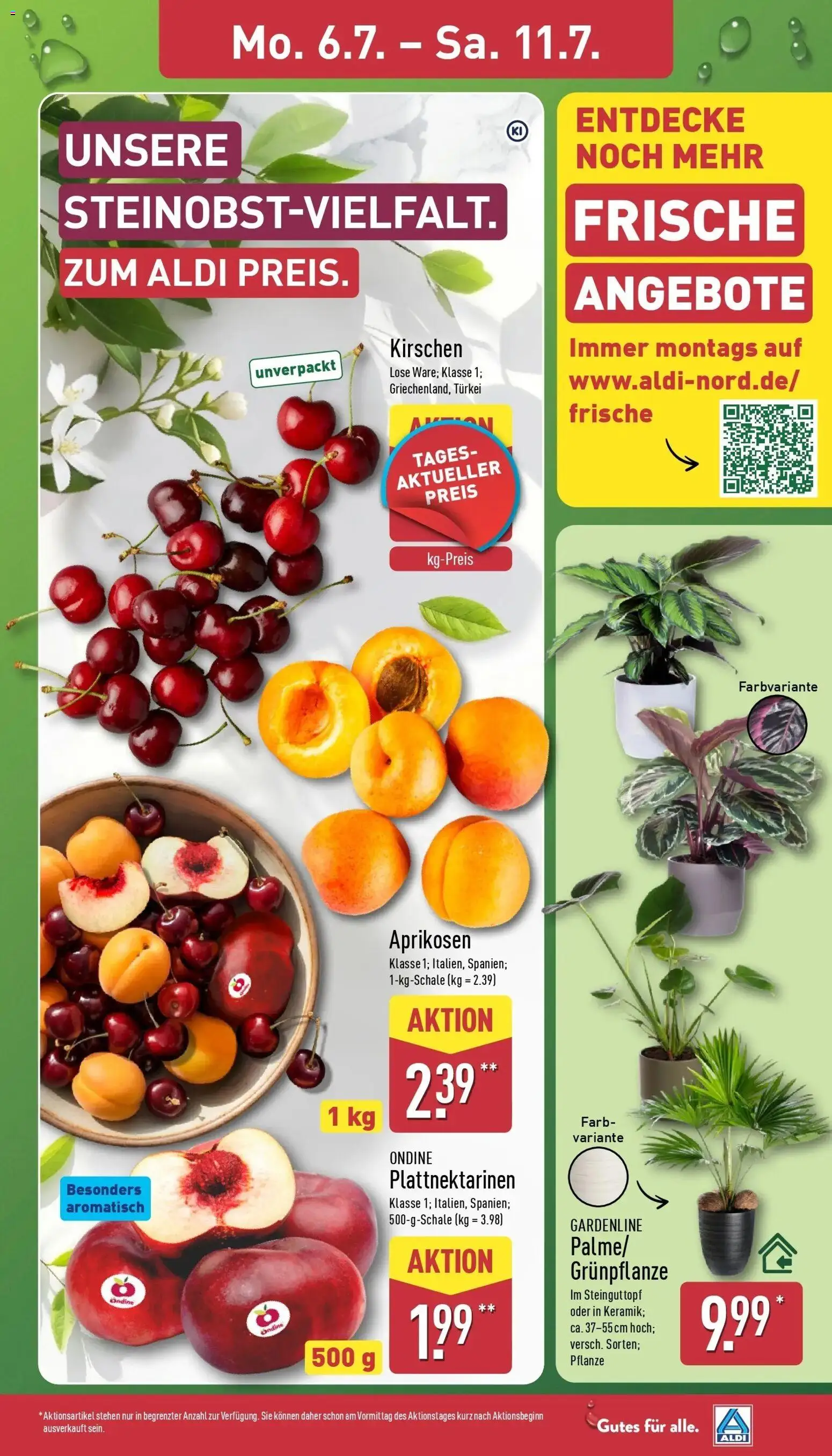 Aldi - ALDI Nord: Wochenangebote – gültig ab 05.07.2026 | Seite: 3