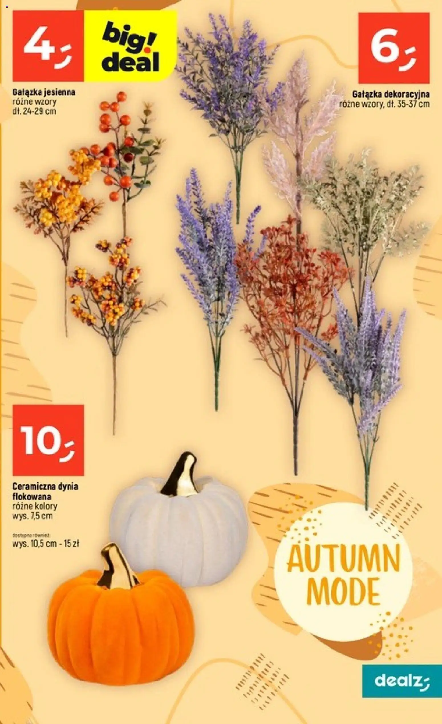 Dealz gazetka od 13.08.2026 | Strona: 39 | Produkty: Dynia