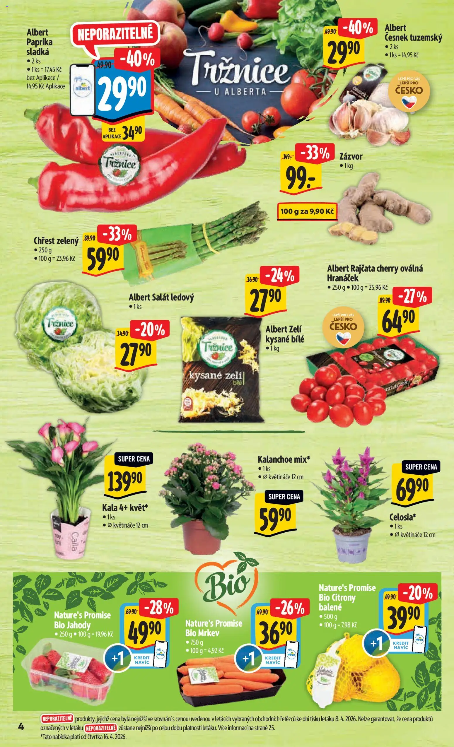 Albert leták - Hypermarket - Harfa od 15.04.2026 | Strana: 10 | Produkty: Kalanchoe, Květináče, Salát, Zázvor
