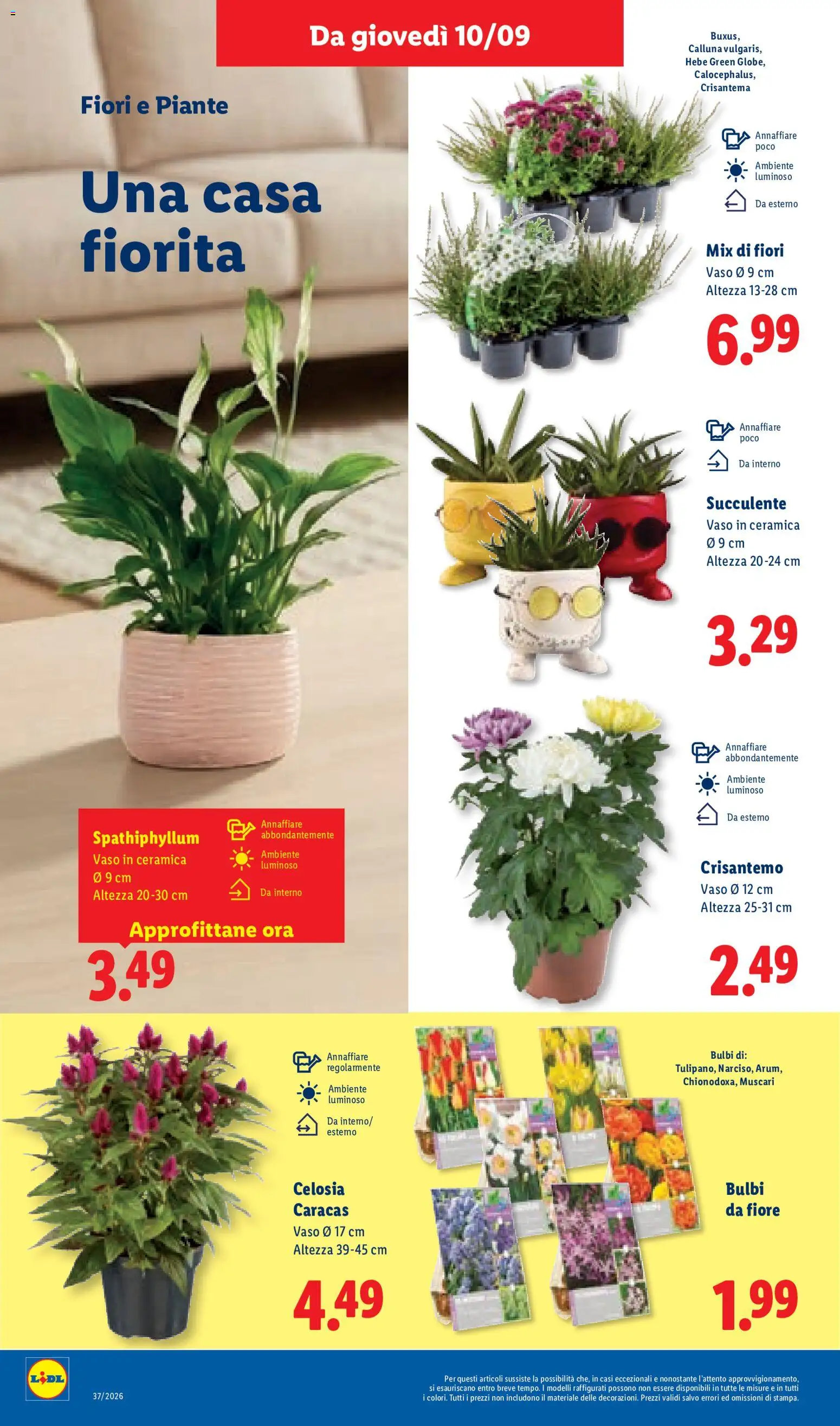 Volantino Lidl del 10/09/2026 | Pagina: 46
