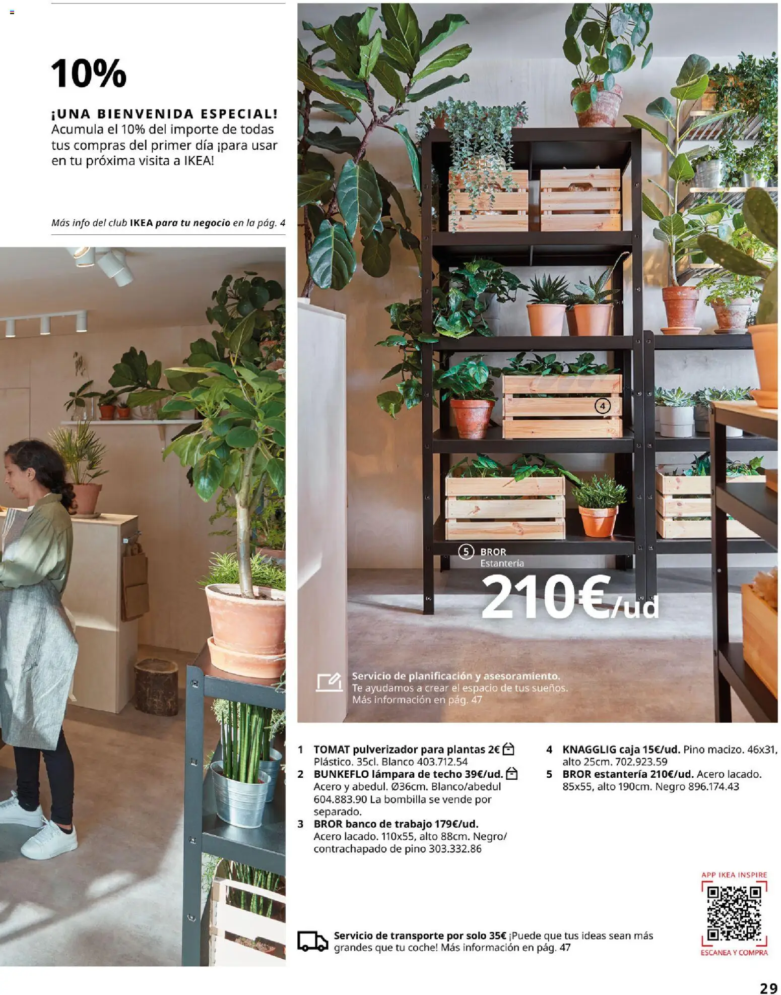 Catálogo IKEA para tu negocio │ válido desde el 01/02/2026 | Página: 29 | Productos: Estantería, Té, Bombilla, Lámpara