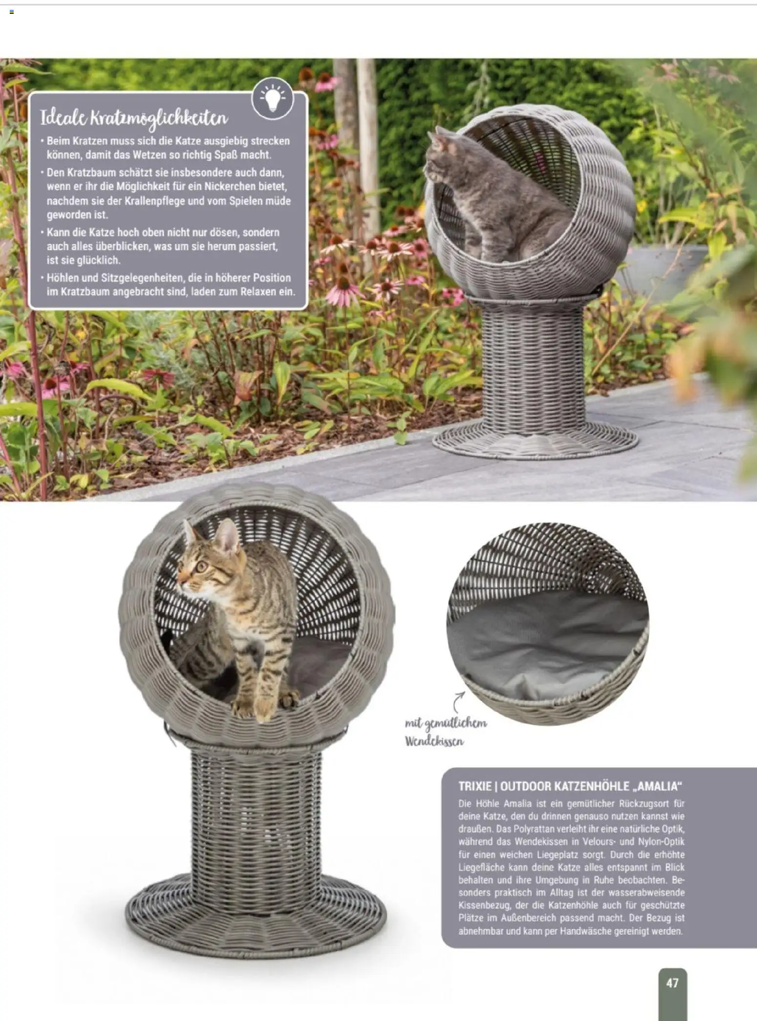 zookauf Themenkatalog Katze – gültig ab 01.10.2026 | Seite: 47