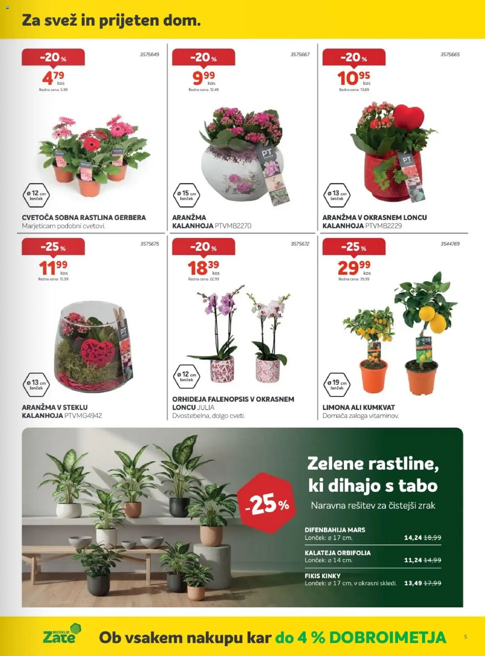Novi Merkur katalog ponudbe – veljaven od 04.03.2026 | Stran: 5 | Izdelki: Limona