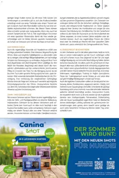 zookauf Heimtier Journal ab 01.07.2026 gültig | Seite: 31