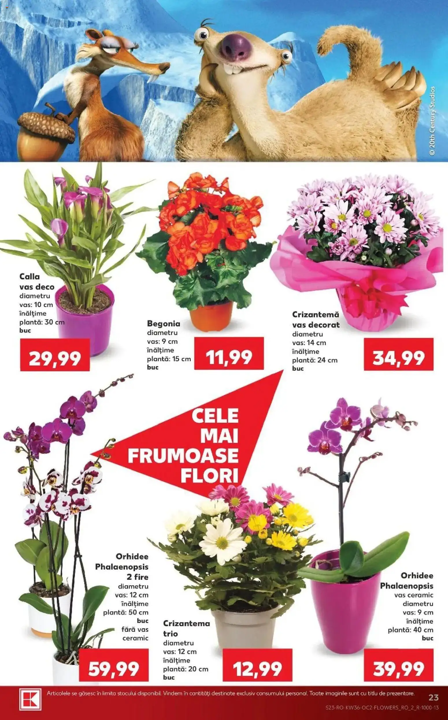 Kaufland Bârlad 02.09.2026 - Revista si Oferta | Pagină: 23