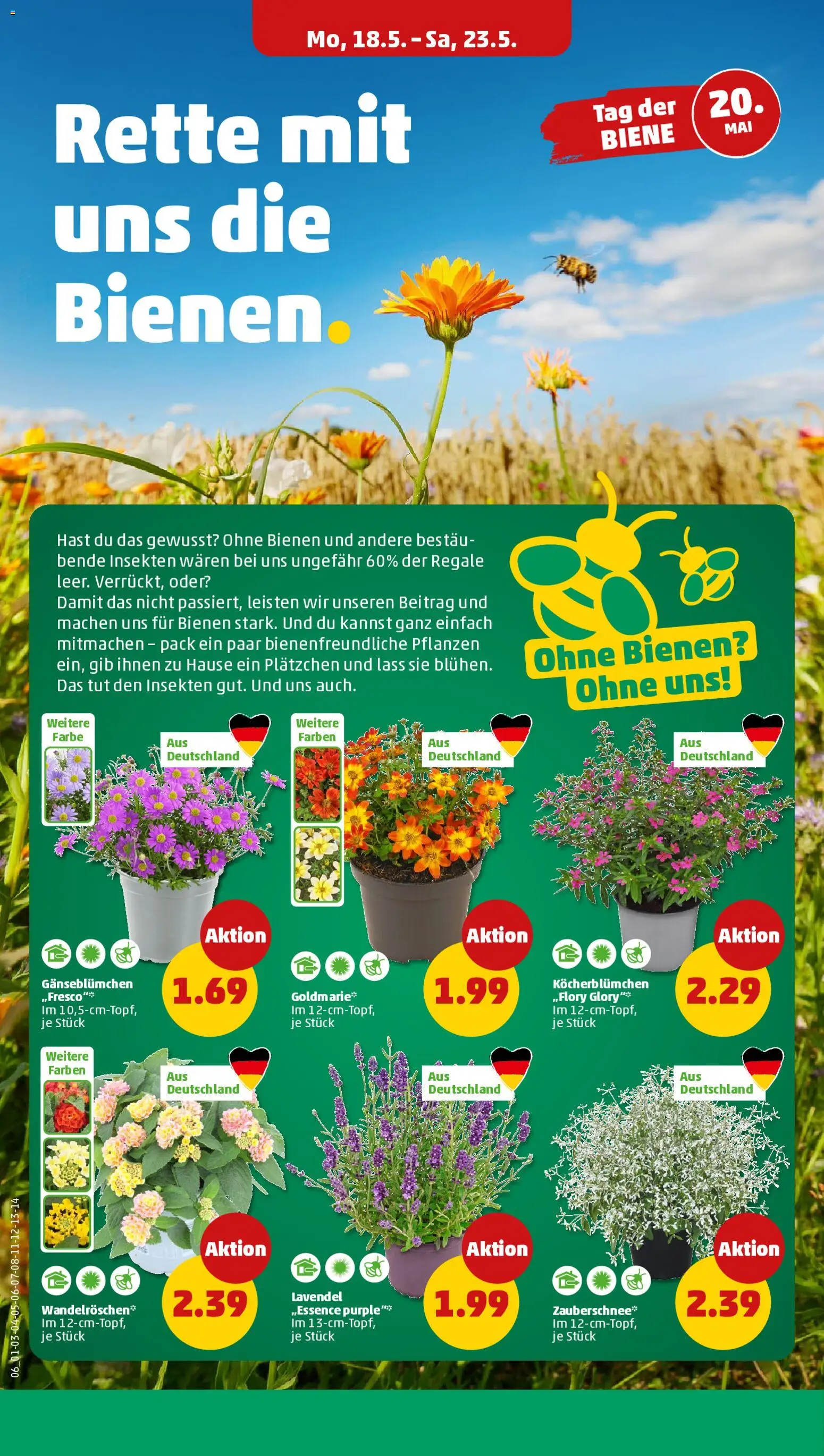 Penny Prospekt 	 – gültig ab 18.05.2026 | Seite: 8 | Produkte: Lavendel