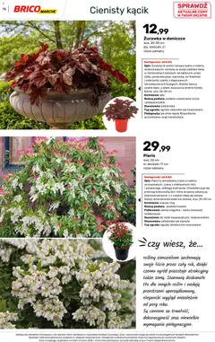 Pogląd oferty "Brico Marché gazetka - Wiosna" - ważna od 04.03.2026 | Strona: 73