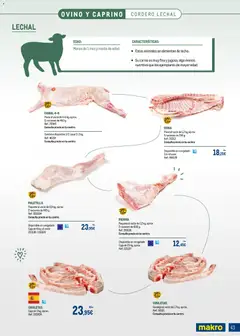 Vista previa Makro Expertos en carnes Canarias válido desde el 01.06.2026 | Página: 43 | Productos: Φίλτρο καφέ, Bandeja, Cuna, Caja