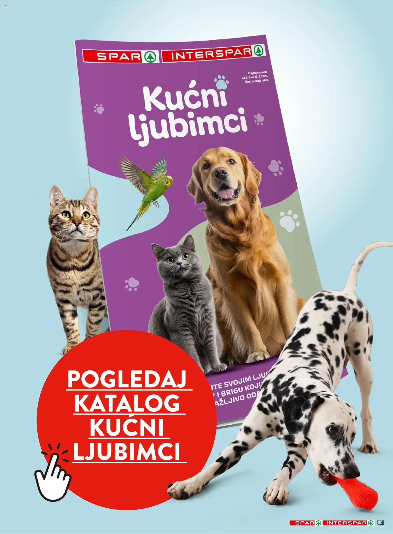 Spar katalog | vrijedi od 10.06.2026 | Stranica: 39