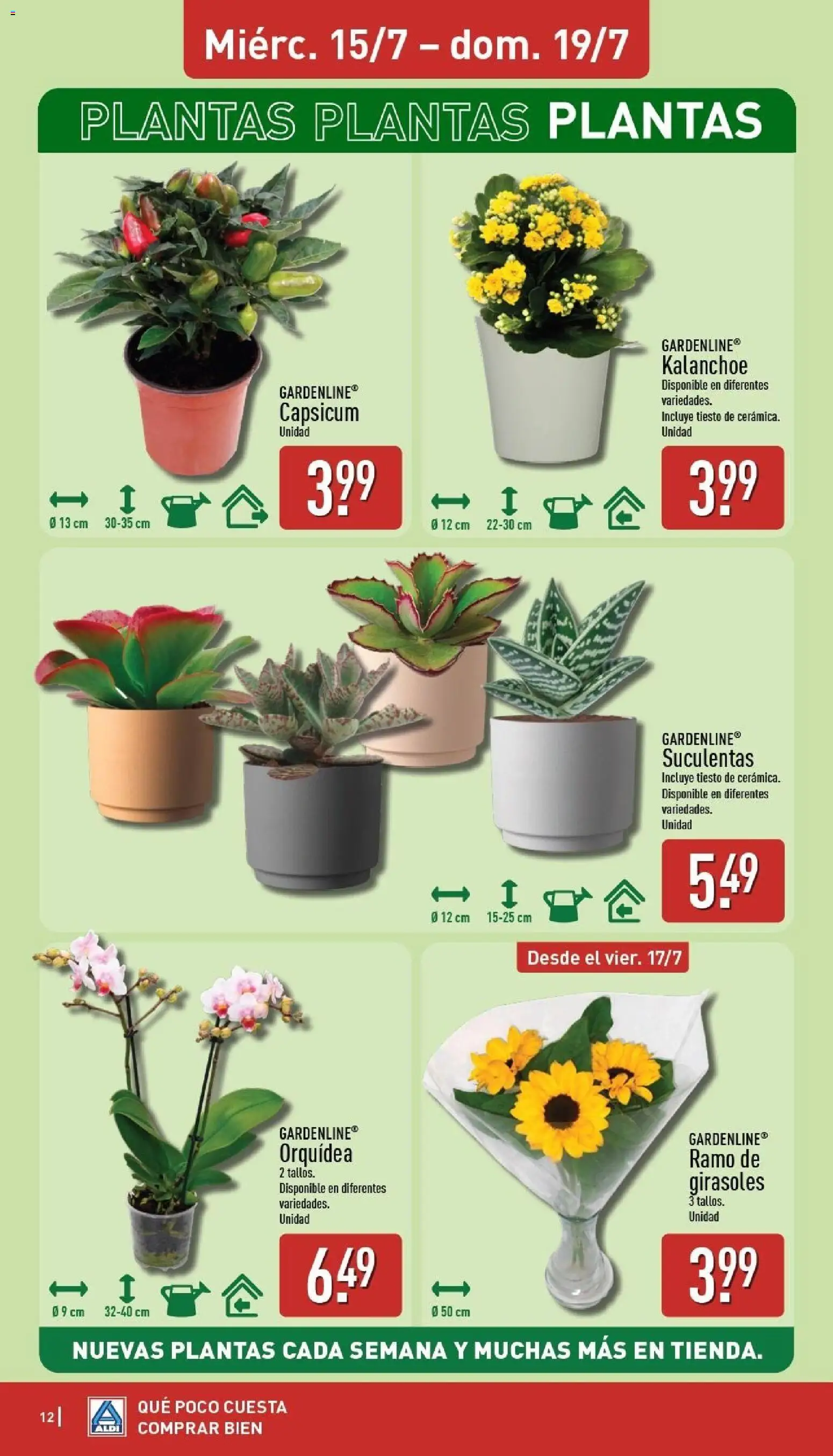 Aldi folleto Baleares │ válido desde el 13/07/2026 | Página: 12