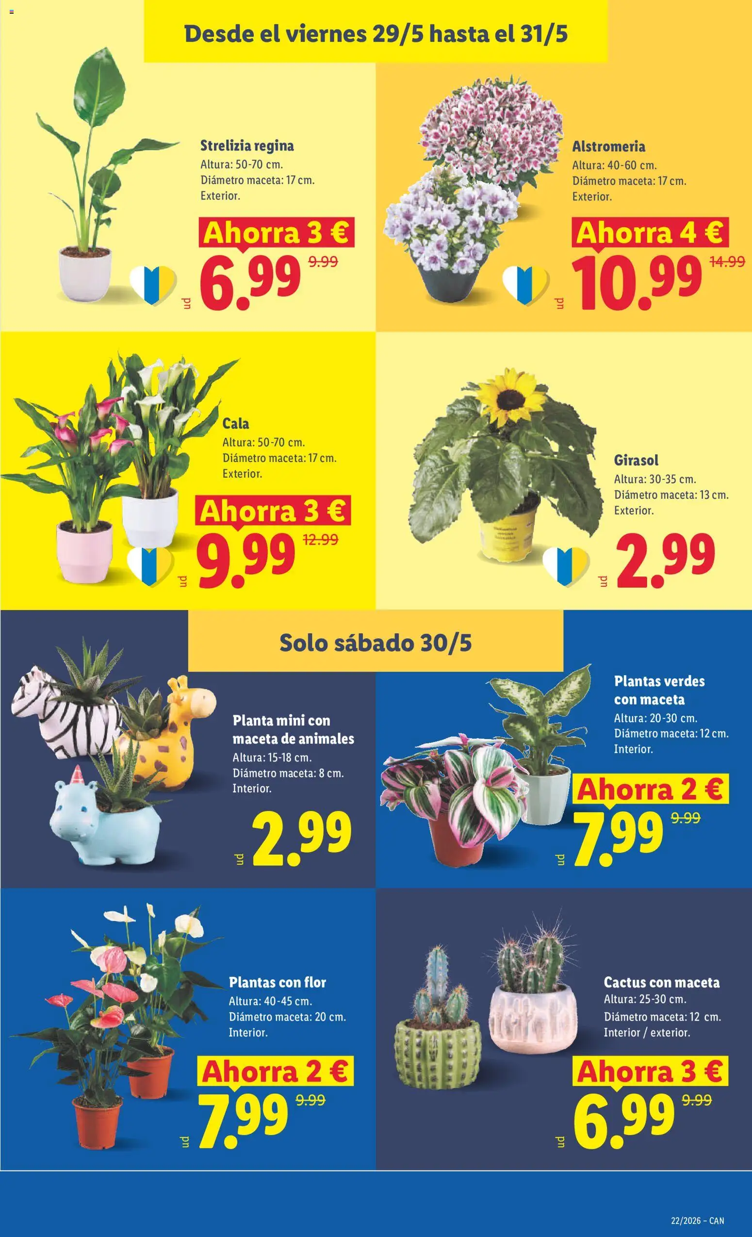 Lidl folleto │ válido desde el 18.05.2026 | Página: 41 | Productos: Maceta