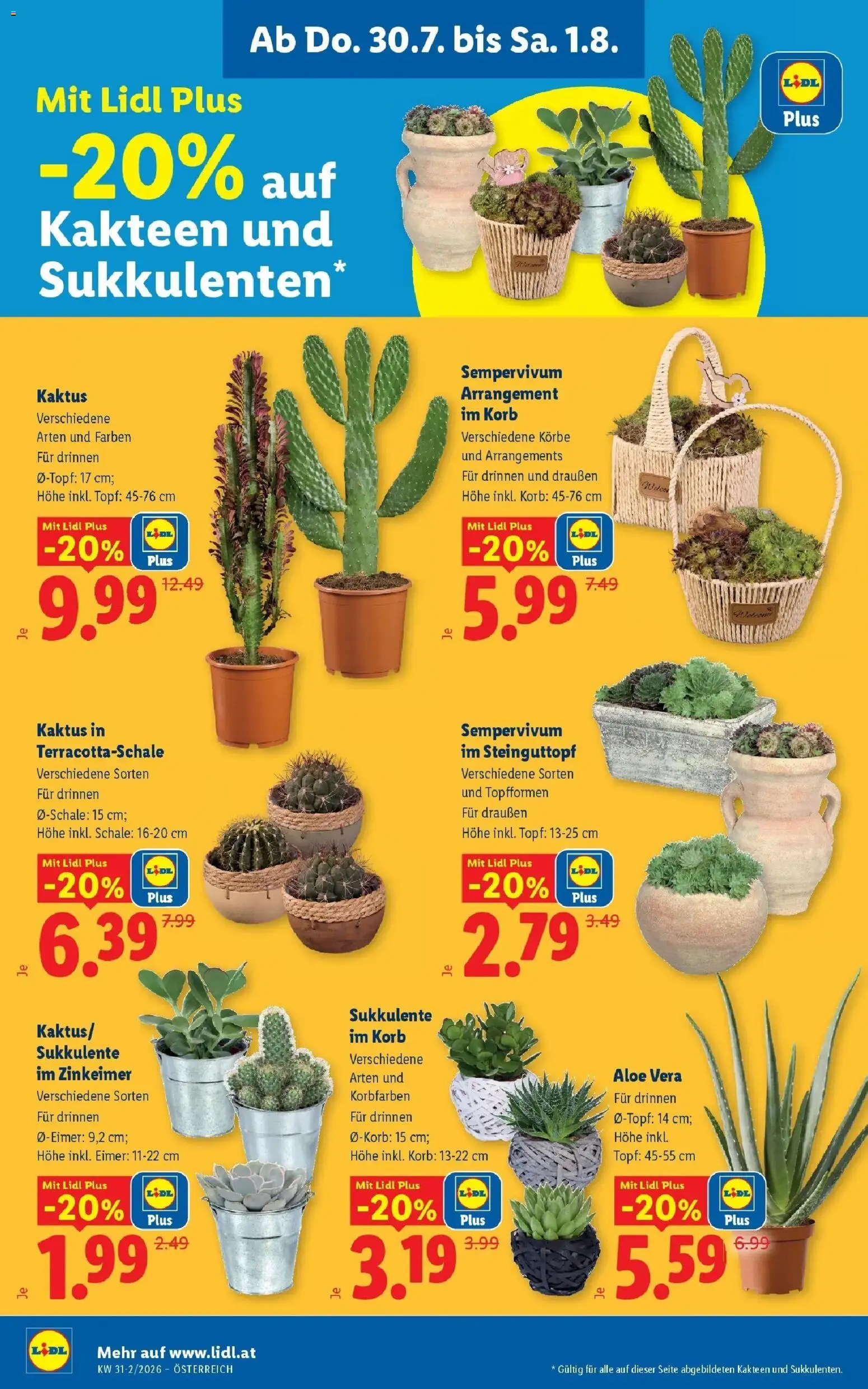 Lidl Flugblatt - Fohnsdorf, Neunkirchen, Graz gültig ab 30.07.2026 | Seite: 26 | Produkte: Korb