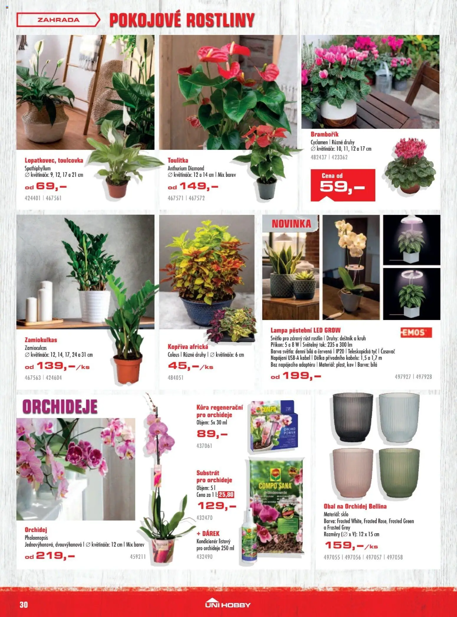 Uni Hobby leták od 01.10.2026 | Strana: 30 | Produkty: Orchidej, Květináče, Zahrada, Lampa