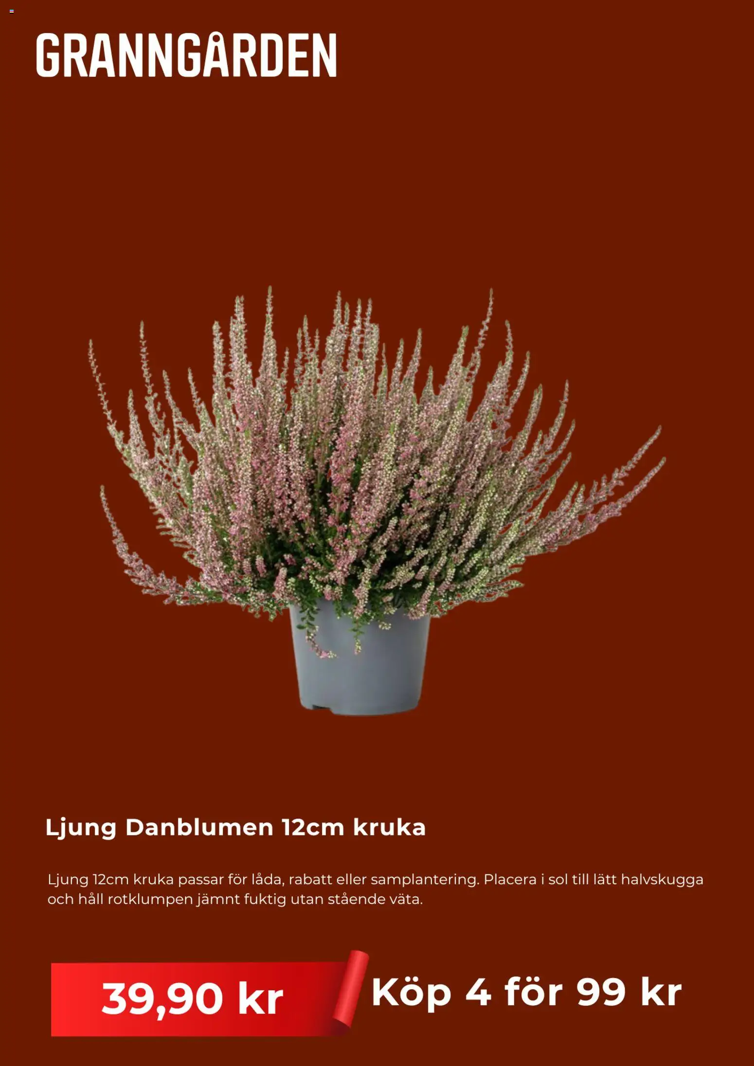 Granngården reklamblad aktuell från 21/09/2026 | Sida: 2 | Produkter: Ljung, Kruka, Häll